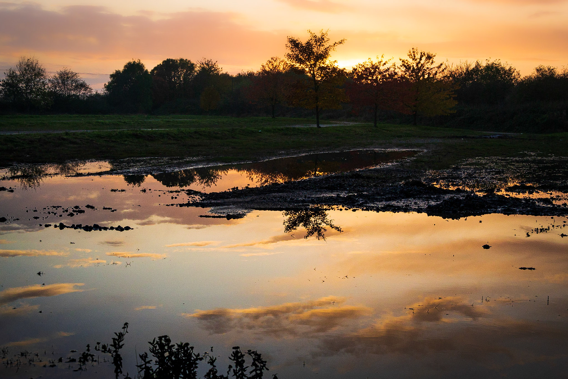 Reflected light