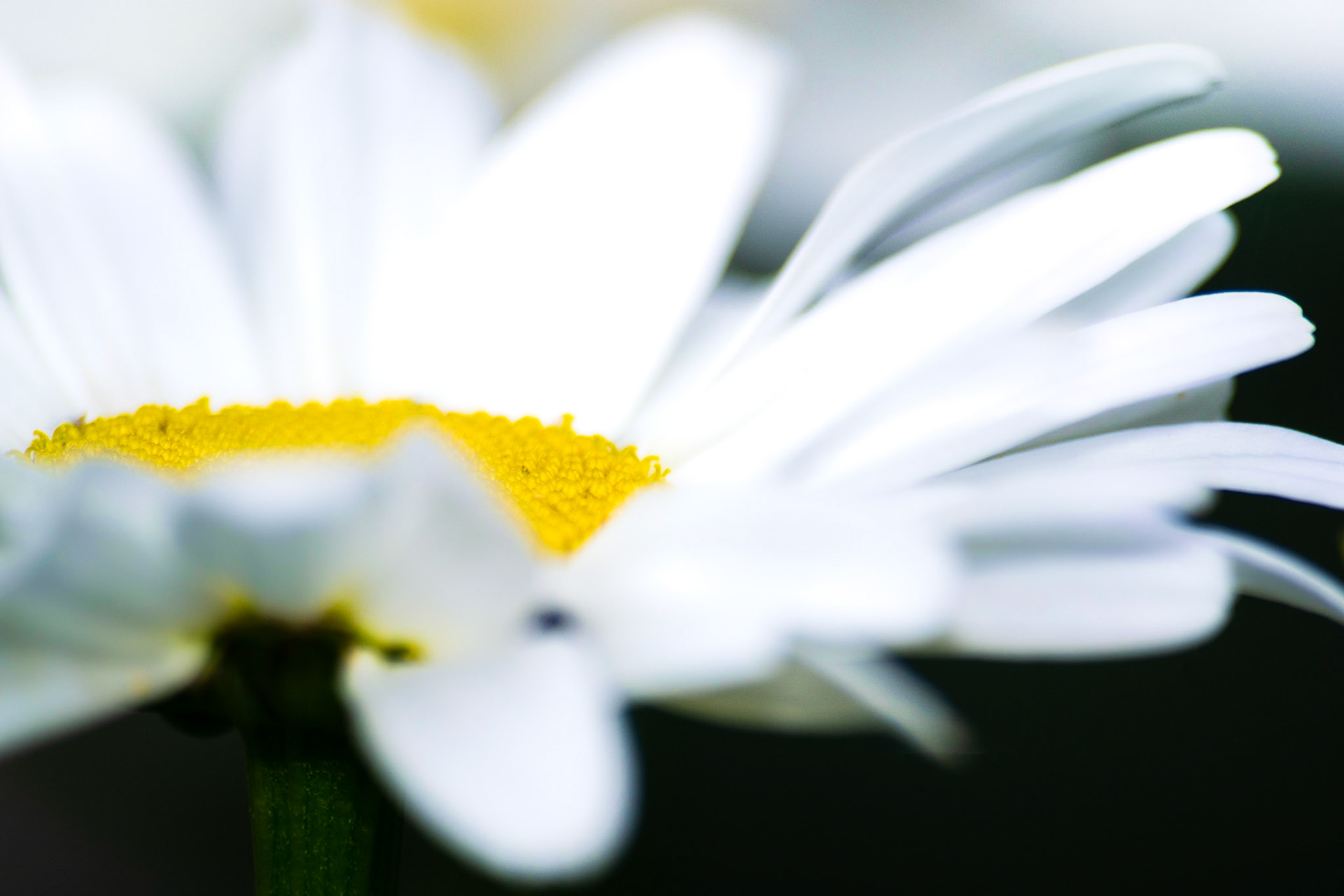 Perfect imperfection