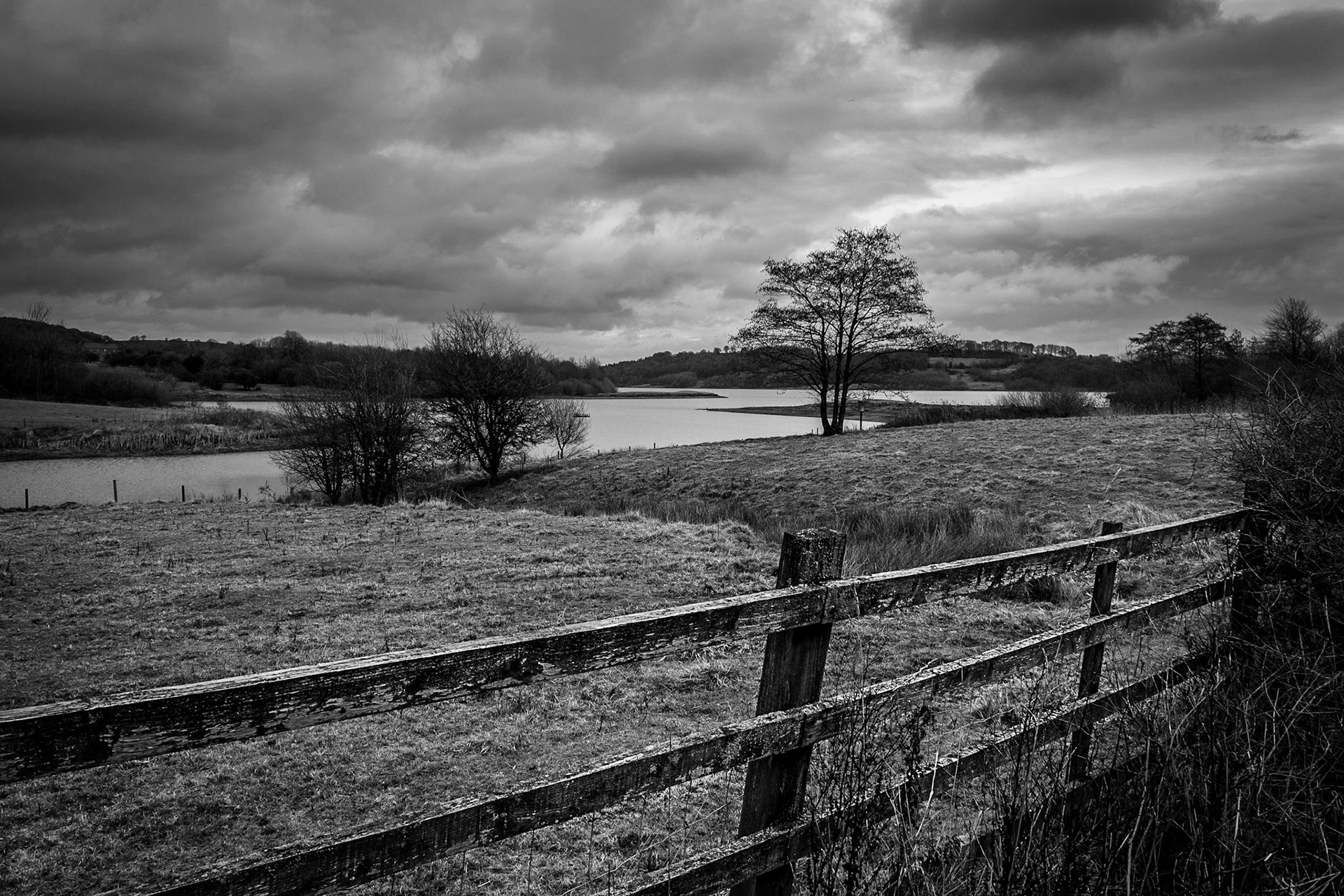Dark Skies