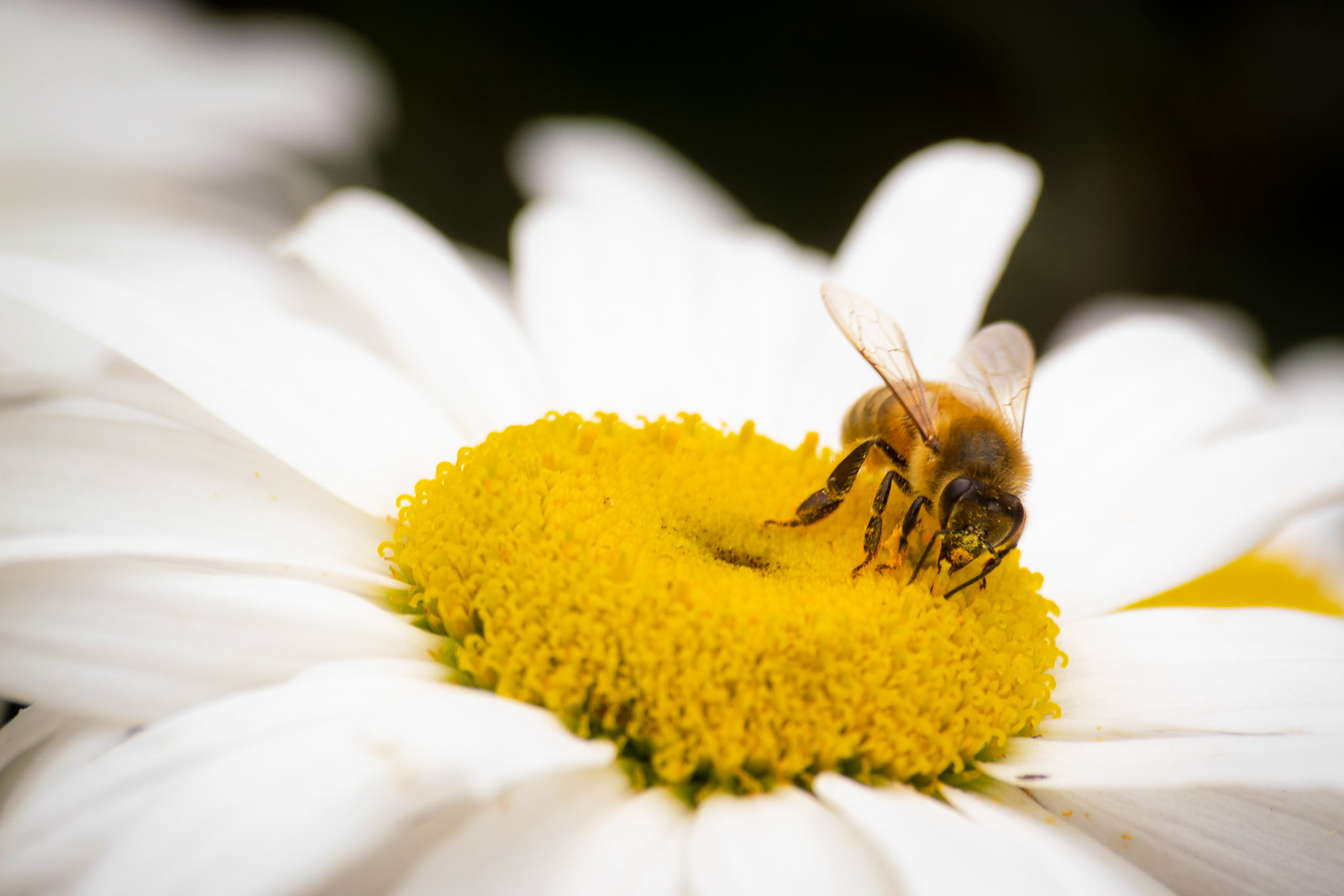 working for a living