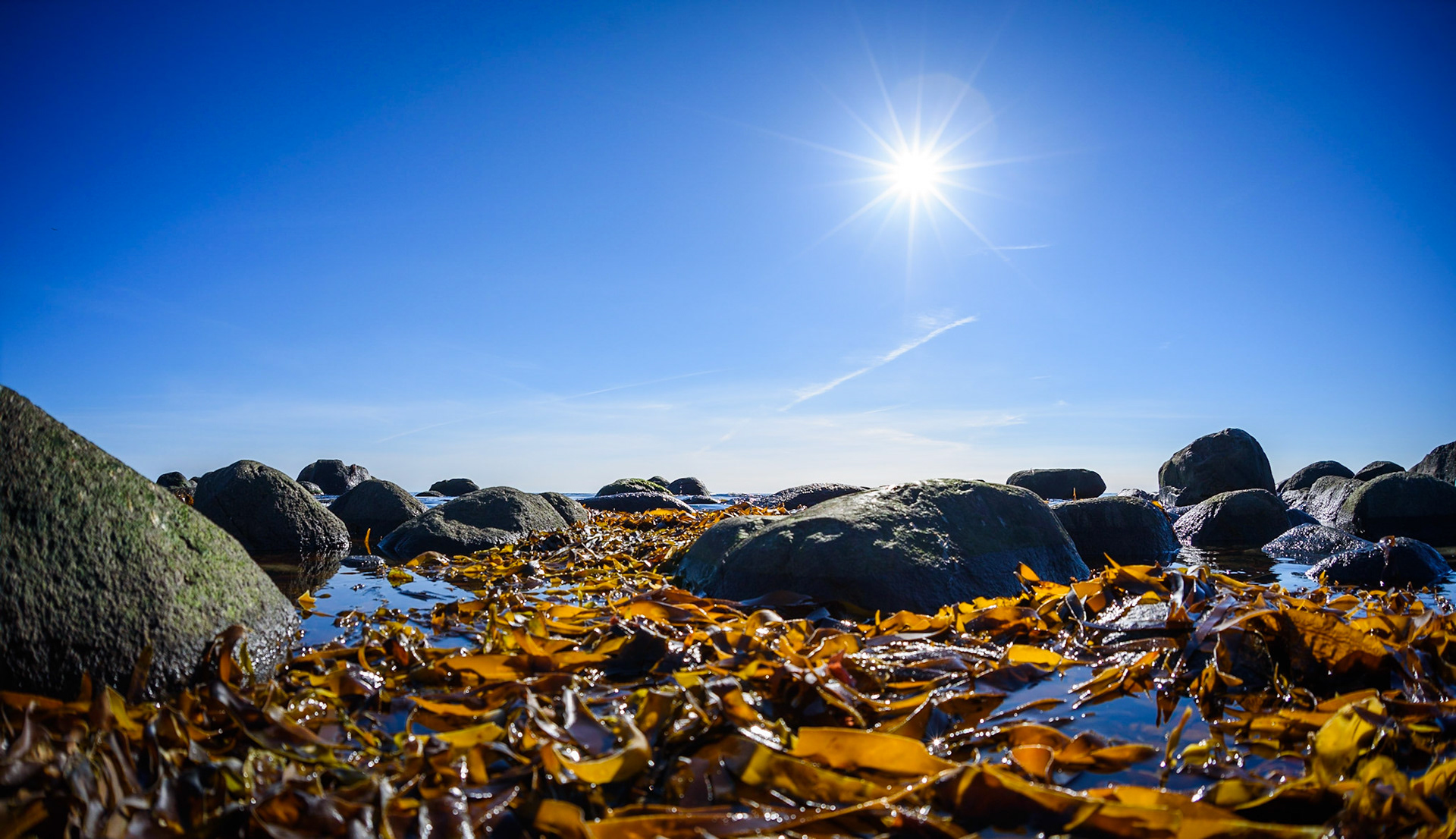 A trip to Lista with fotomax, my local photo club.