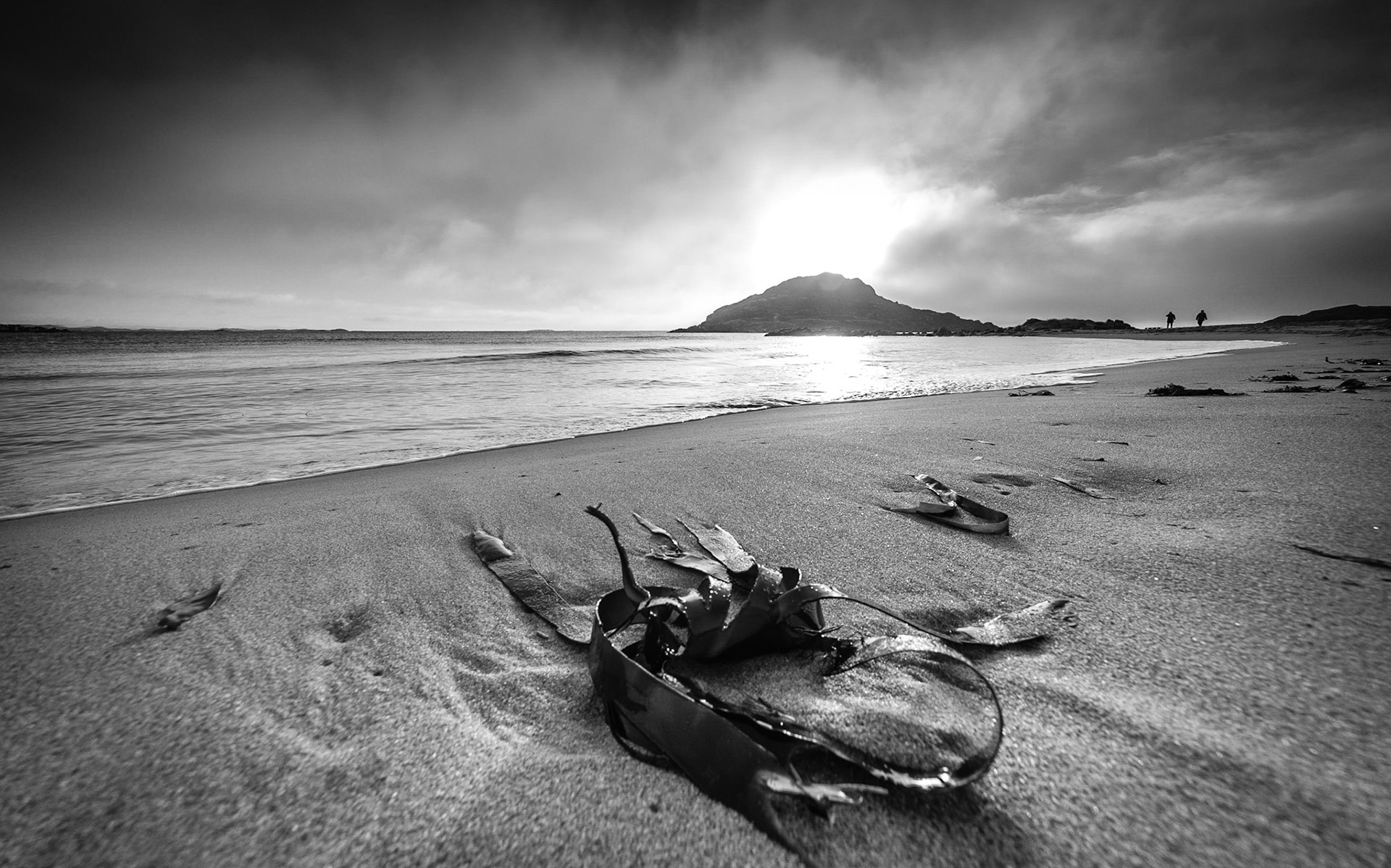 Another shot from Lista, Norway. Got low with the 12-24mm :-)