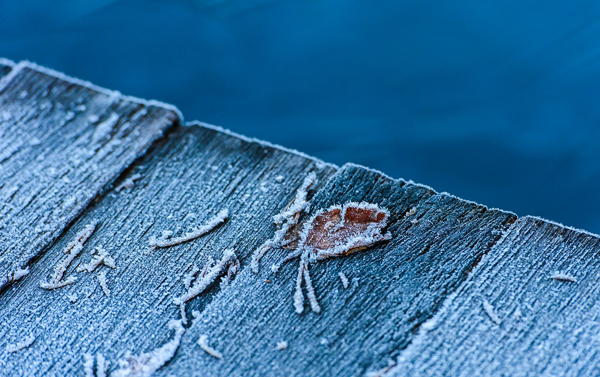 The winter is near...