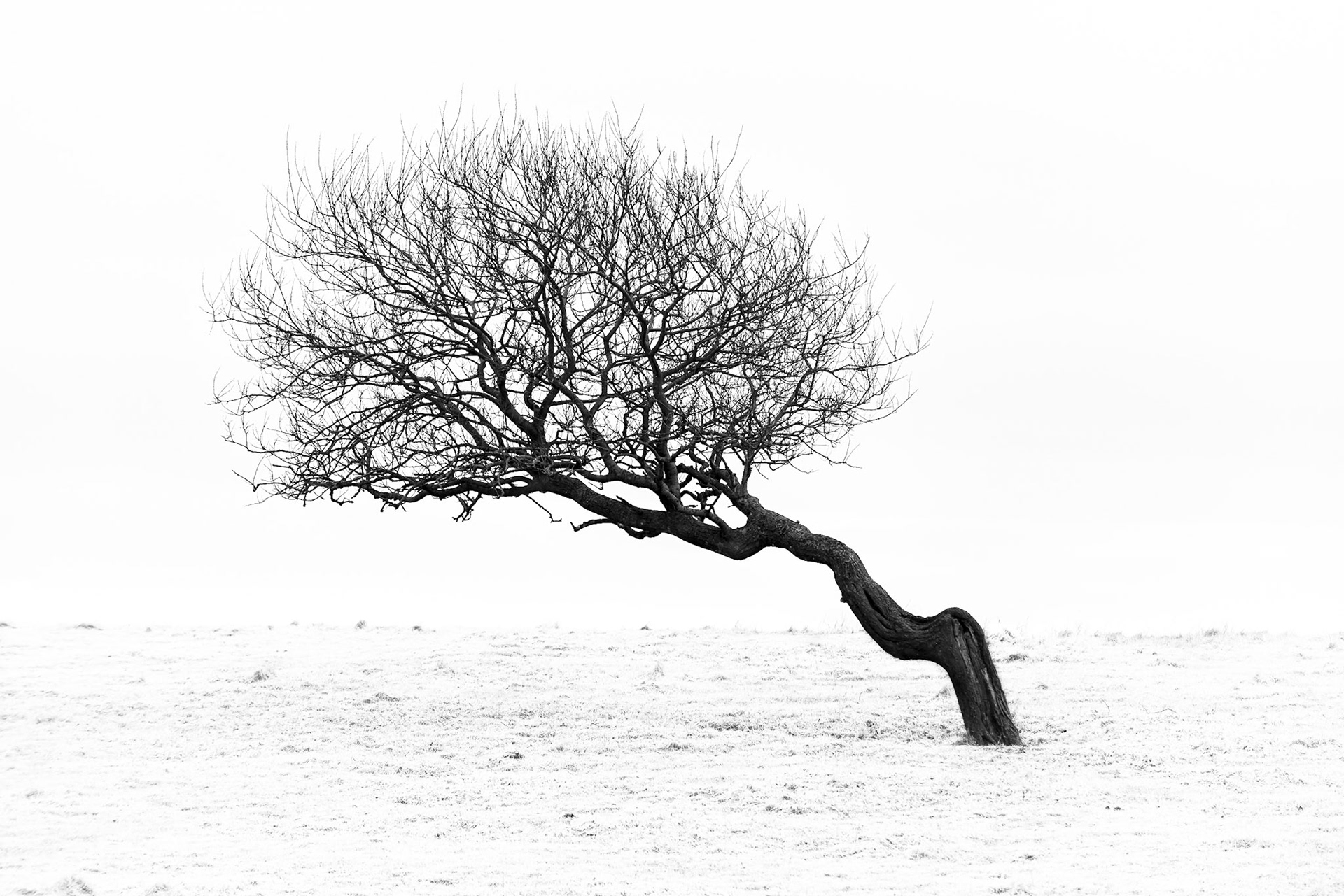 Picture taken at Lista, Norway. A very windy place