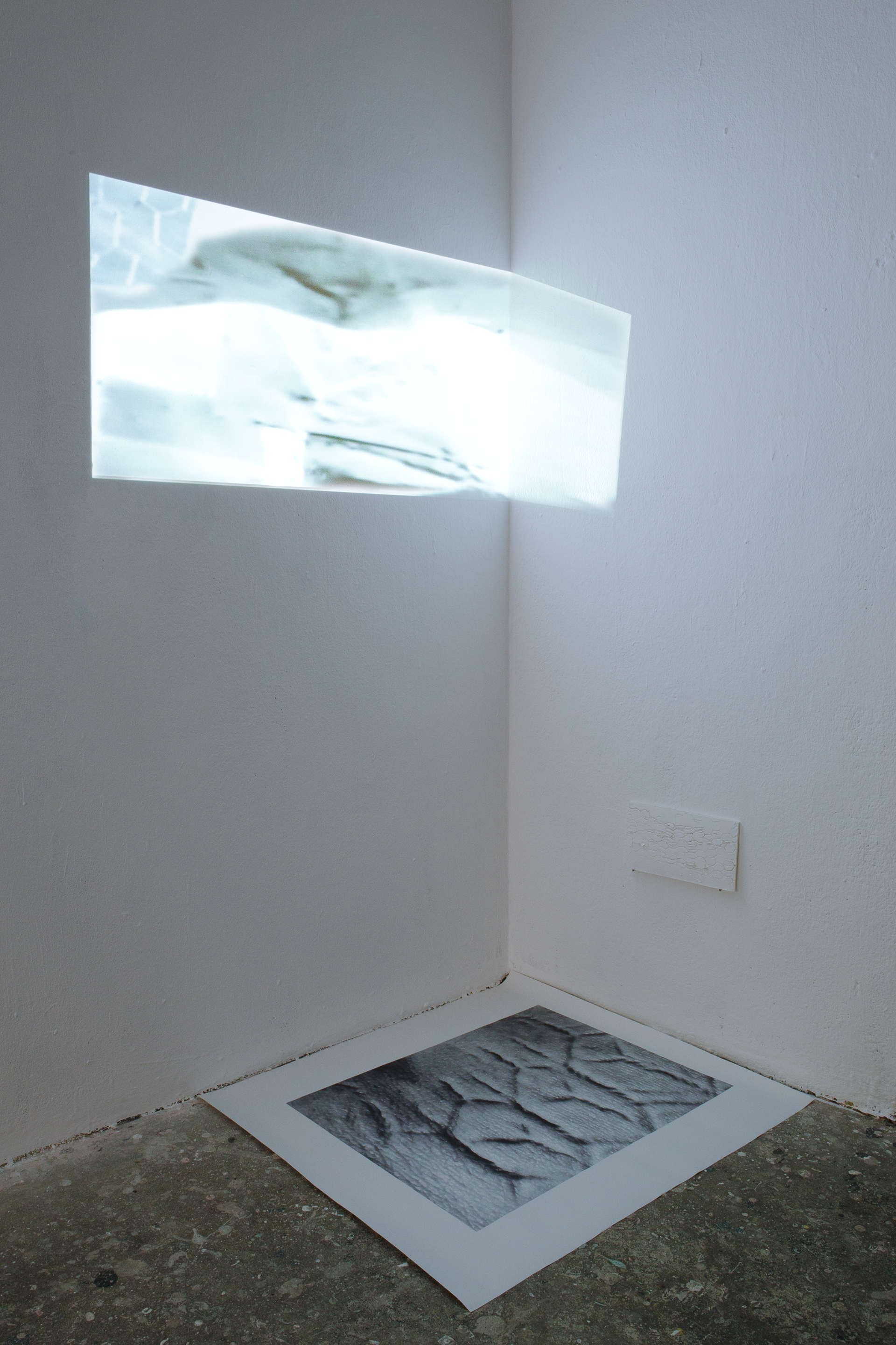 Extended Surfaces, Improper Walls, #fotowienselected 2021, Ausstellungsansicht (c) Maria Belova
