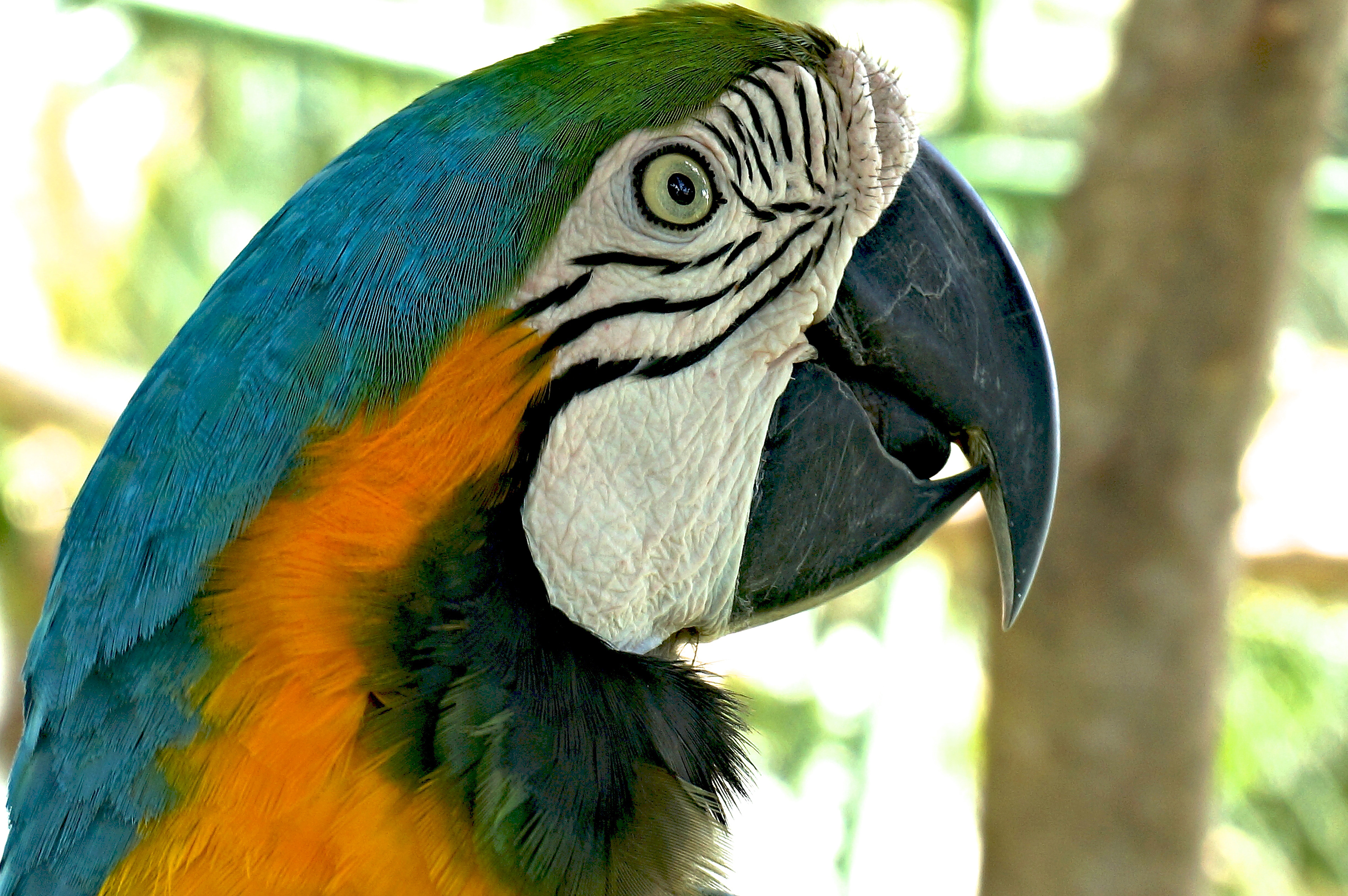 Panama