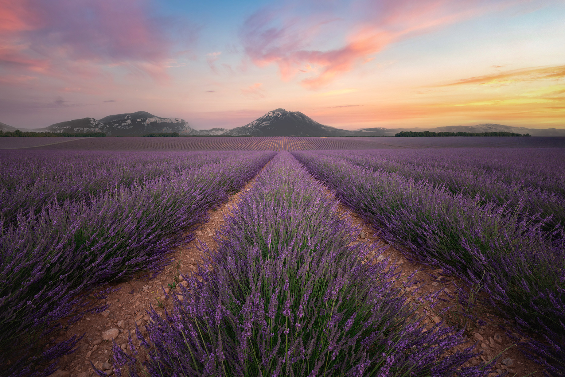 Provence