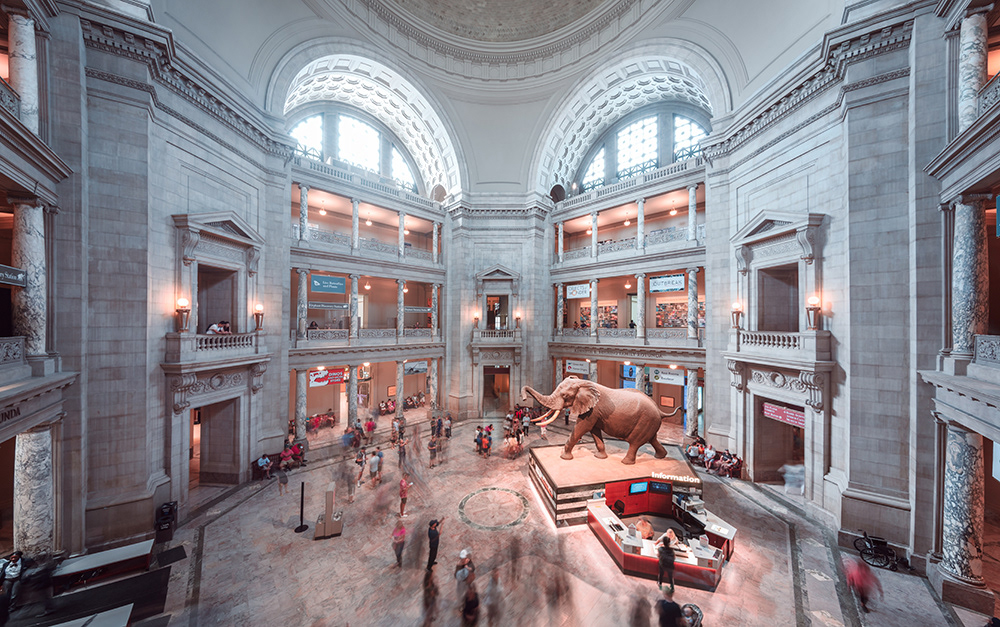 Natural History Museum