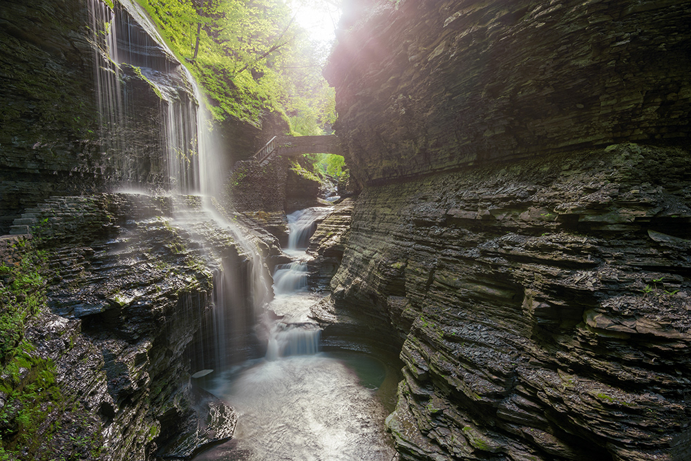 Watkins Glen