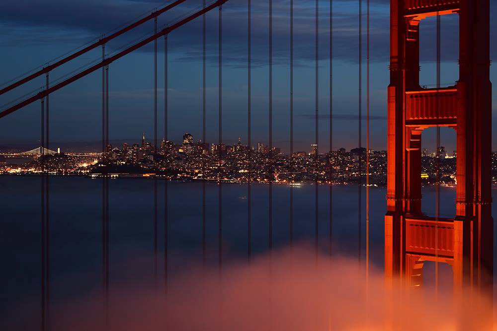 Bridge and City