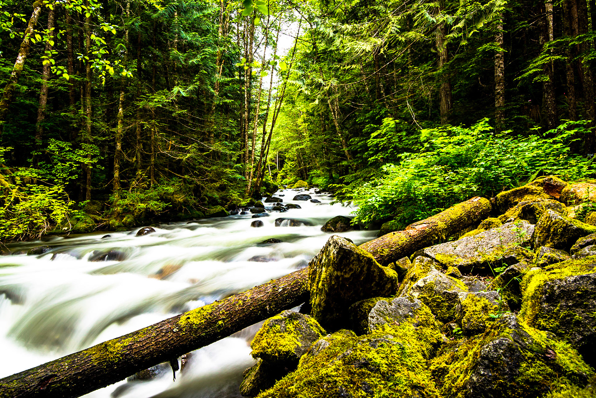 The River
