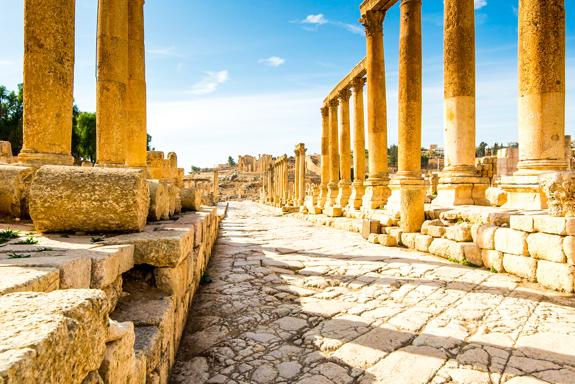 Path to History