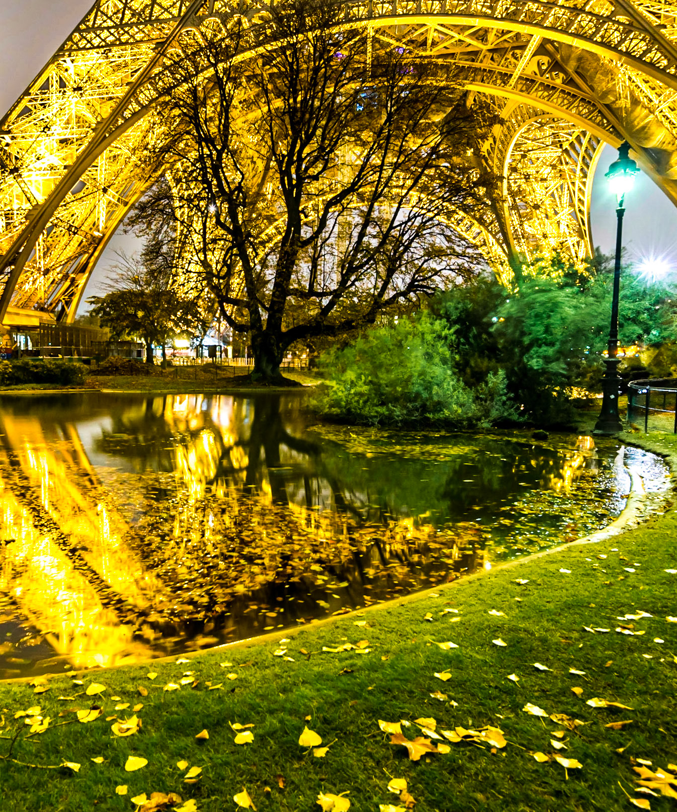 Eiffel Leaves