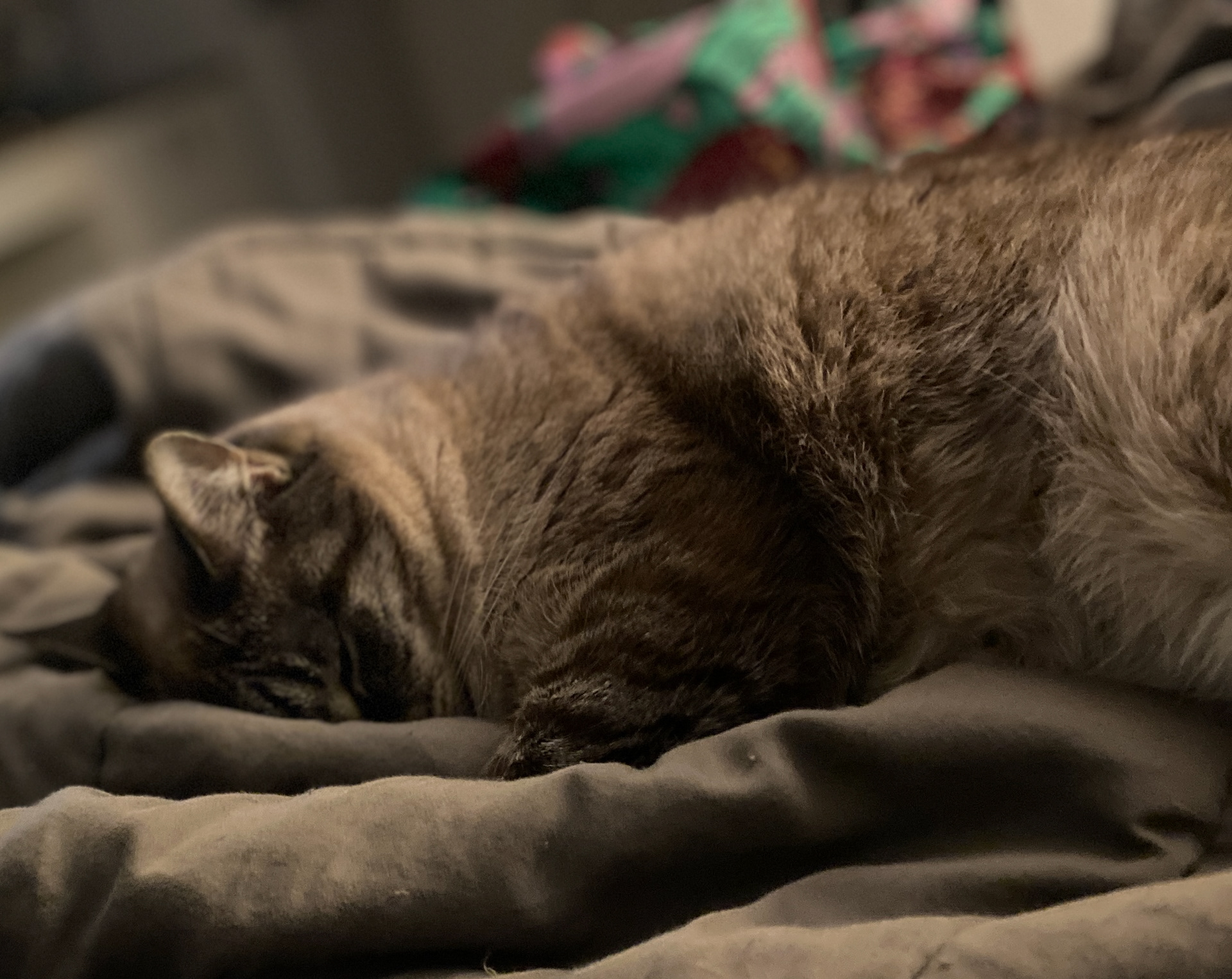 MAXIMIZE PHOTO FOR CLEAR VIEW