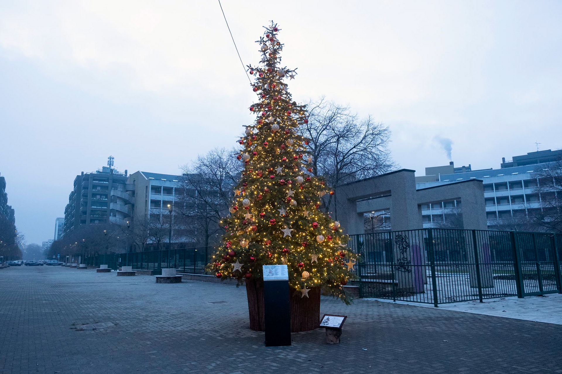 11.12.2023 Milano, P.za Cantoni. In occasione del natale, l'azienda di cosmetica Sephora dona dei pini addobbati da utilizzare nei quartieri esterni di Milano.