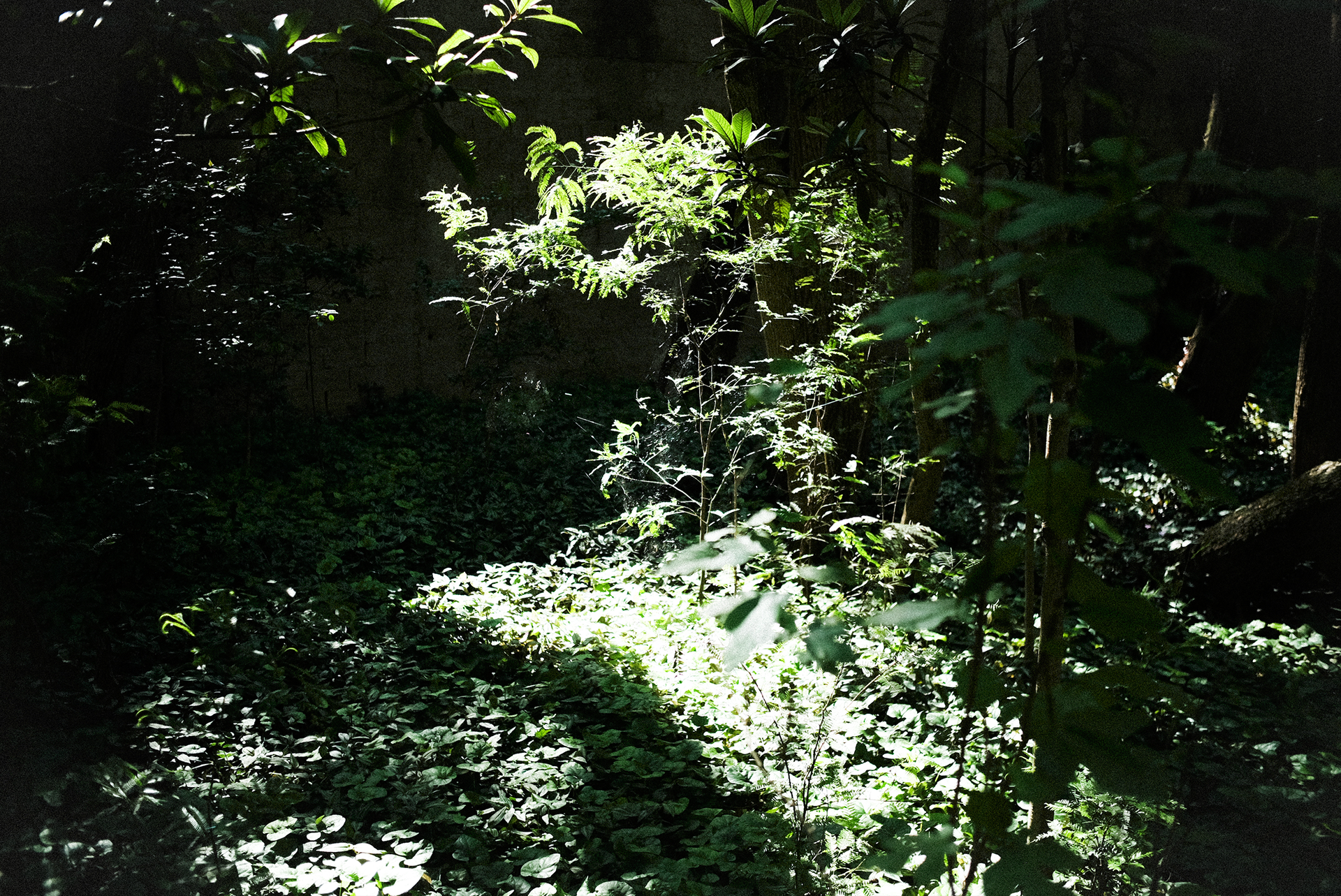 Ricardo Marques, São Paulo.