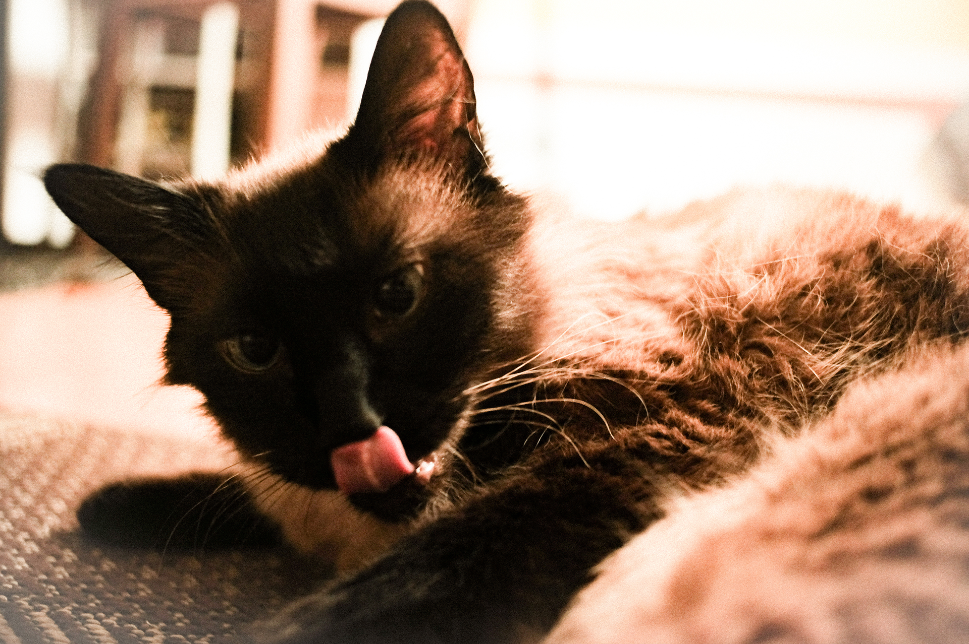 Ricardo Marques, São Paulo.