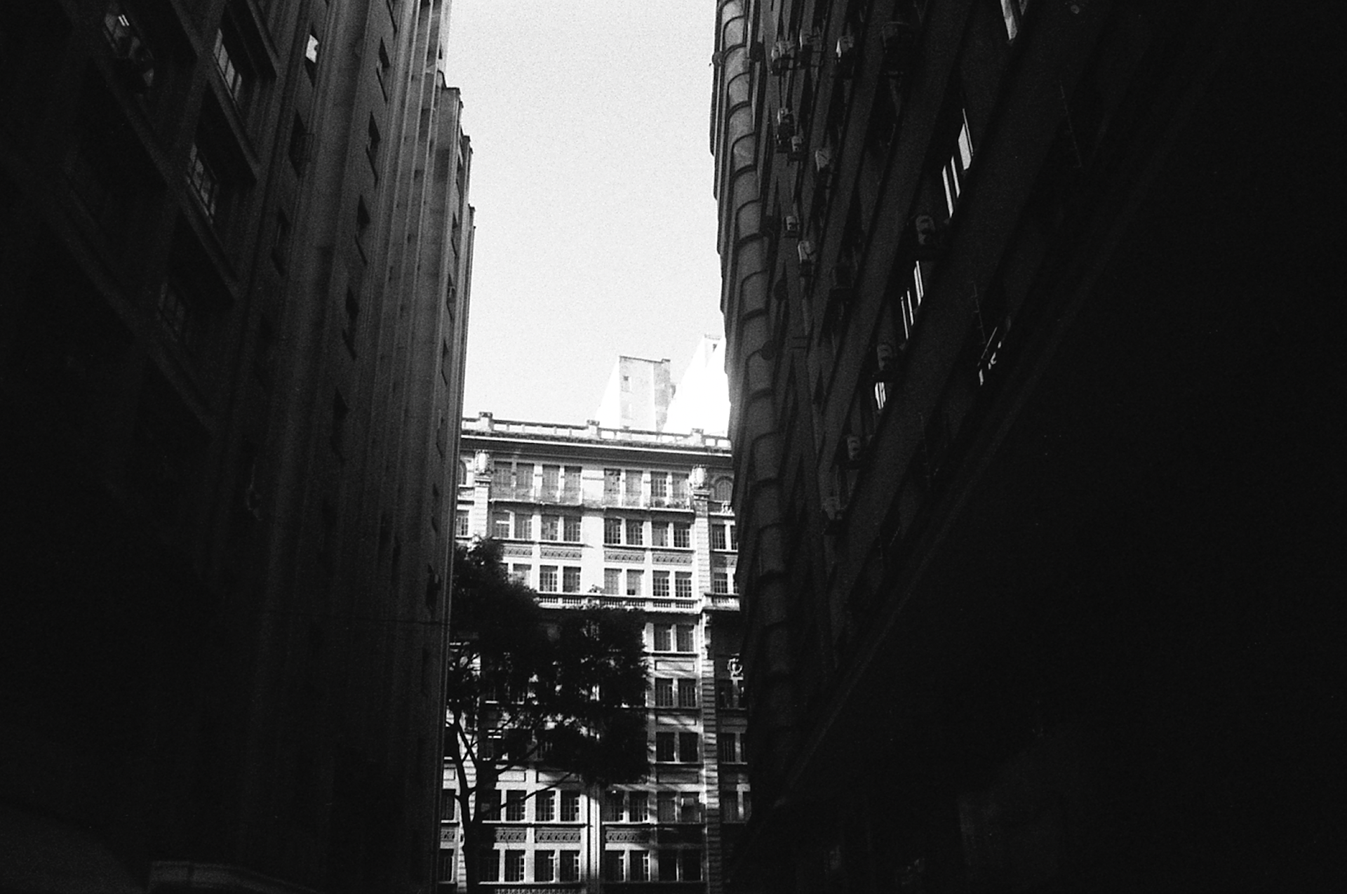 Ricardo Marques, São Paulo.