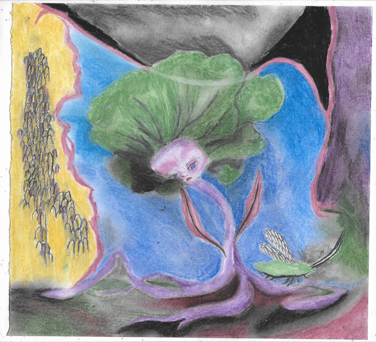 Douleur du bourgeon, crayons pastels, 22,5 x 21 cm