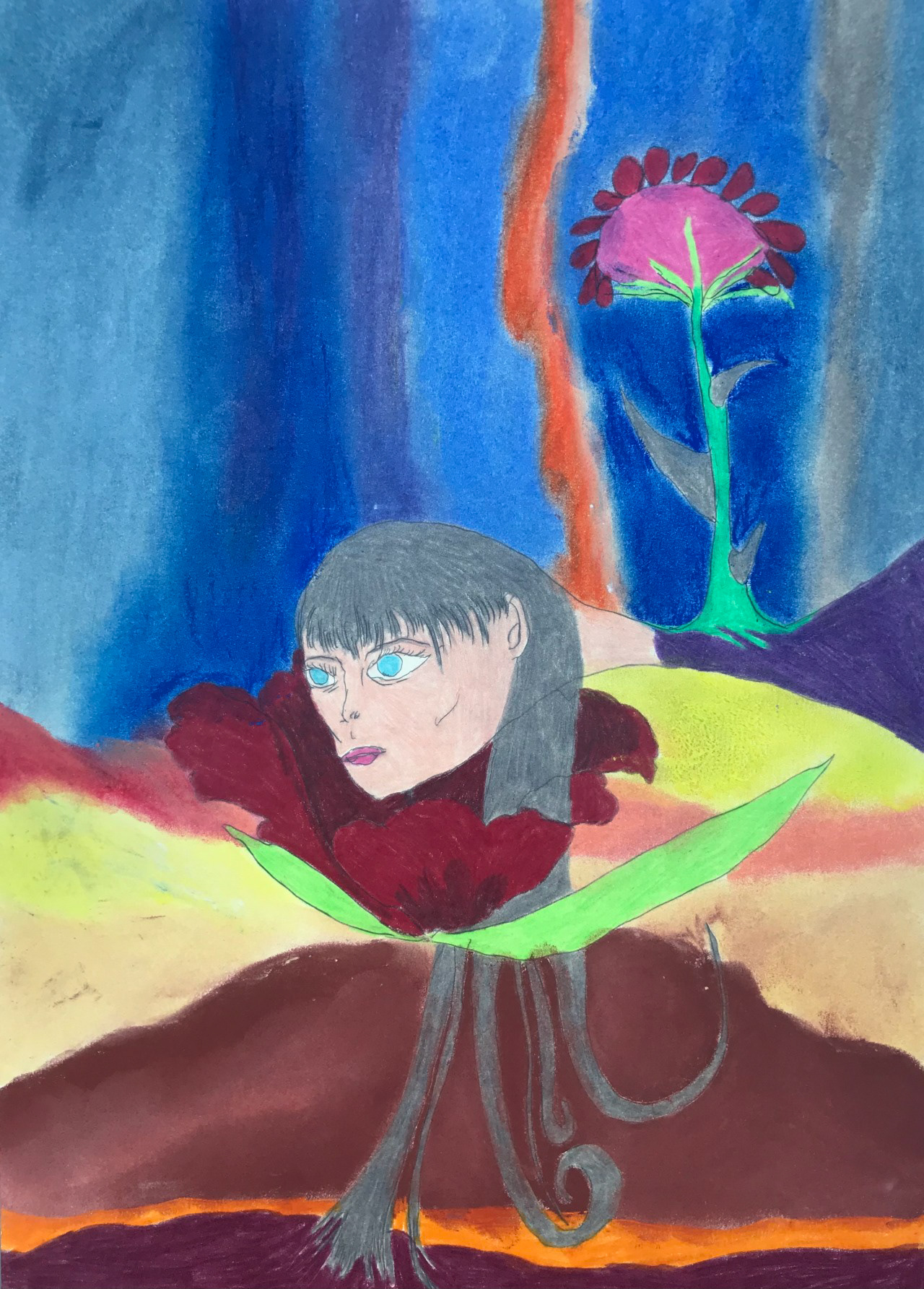 Belle de nuit, pastels secs et mine graphite, 21 x 29,7 cm