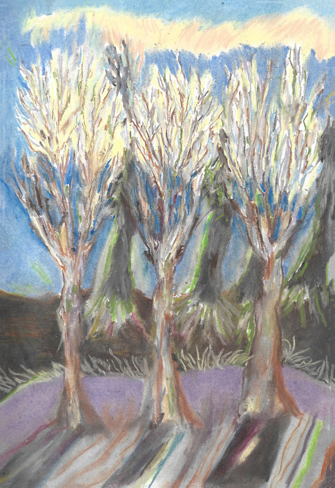 Arbres du train, 21 x 25 cm
