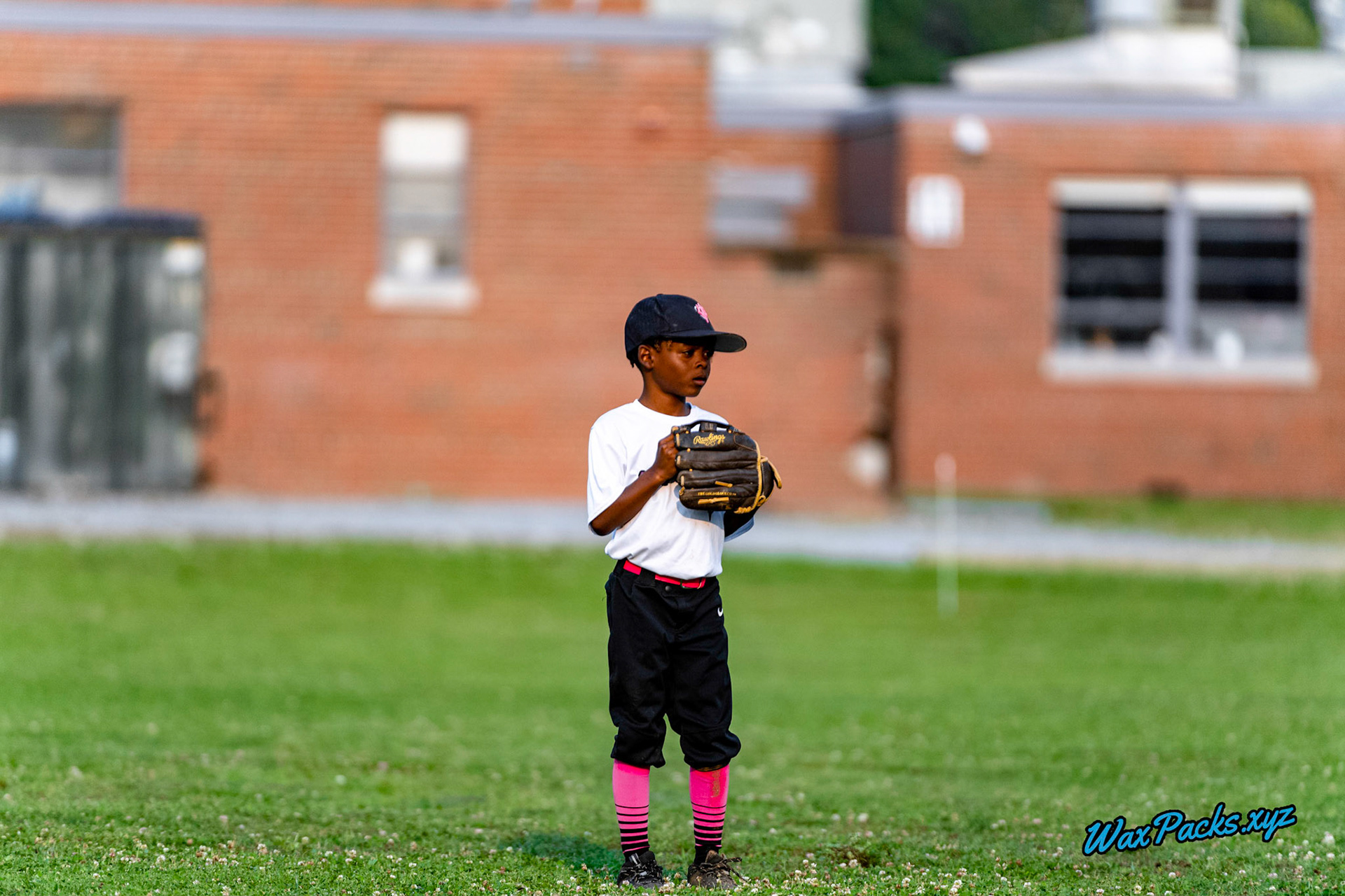 VA Neptunez @ Dominion Hitters 8U 2023-06-08 Kid Pitch, Suffolk, VA, 8 - 18 © WaxPacks.xyz™