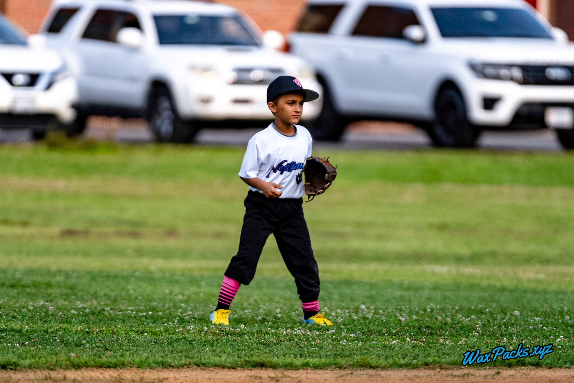 VA Neptunez @ Dominion Hitters 8U 2023-06-08 Kid Pitch, Suffolk, VA, 8 - 18 © WaxPacks.xyz™