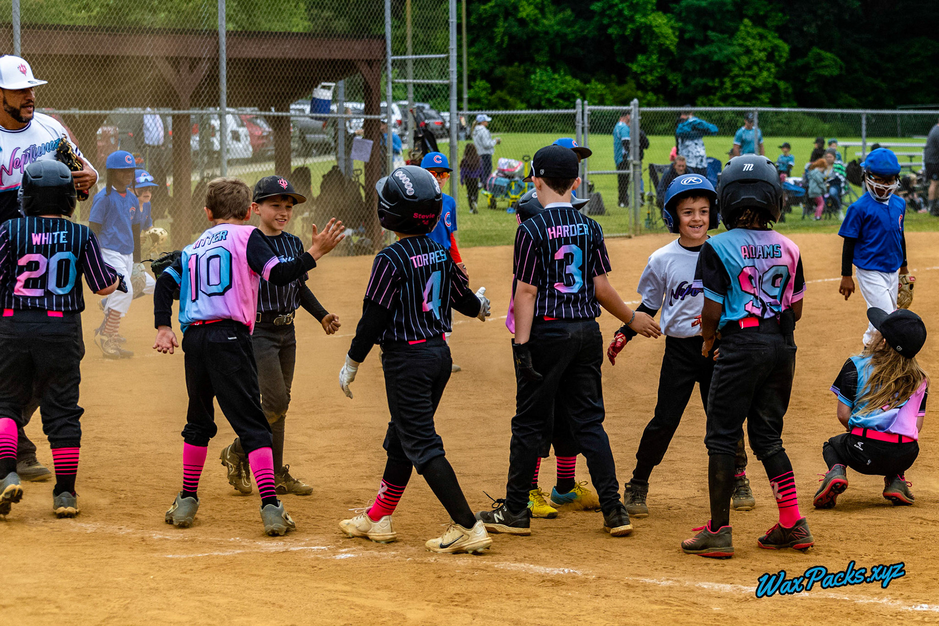 VA Neptunez vs. Cubs Baseball 05-27-2023 Game 1 of the Memorial Day Classic - Western Branch Park, Chesapeake, VA, W 10 - 2 © WaxPacks.xyz™ (Chad W.) 2023-05-27