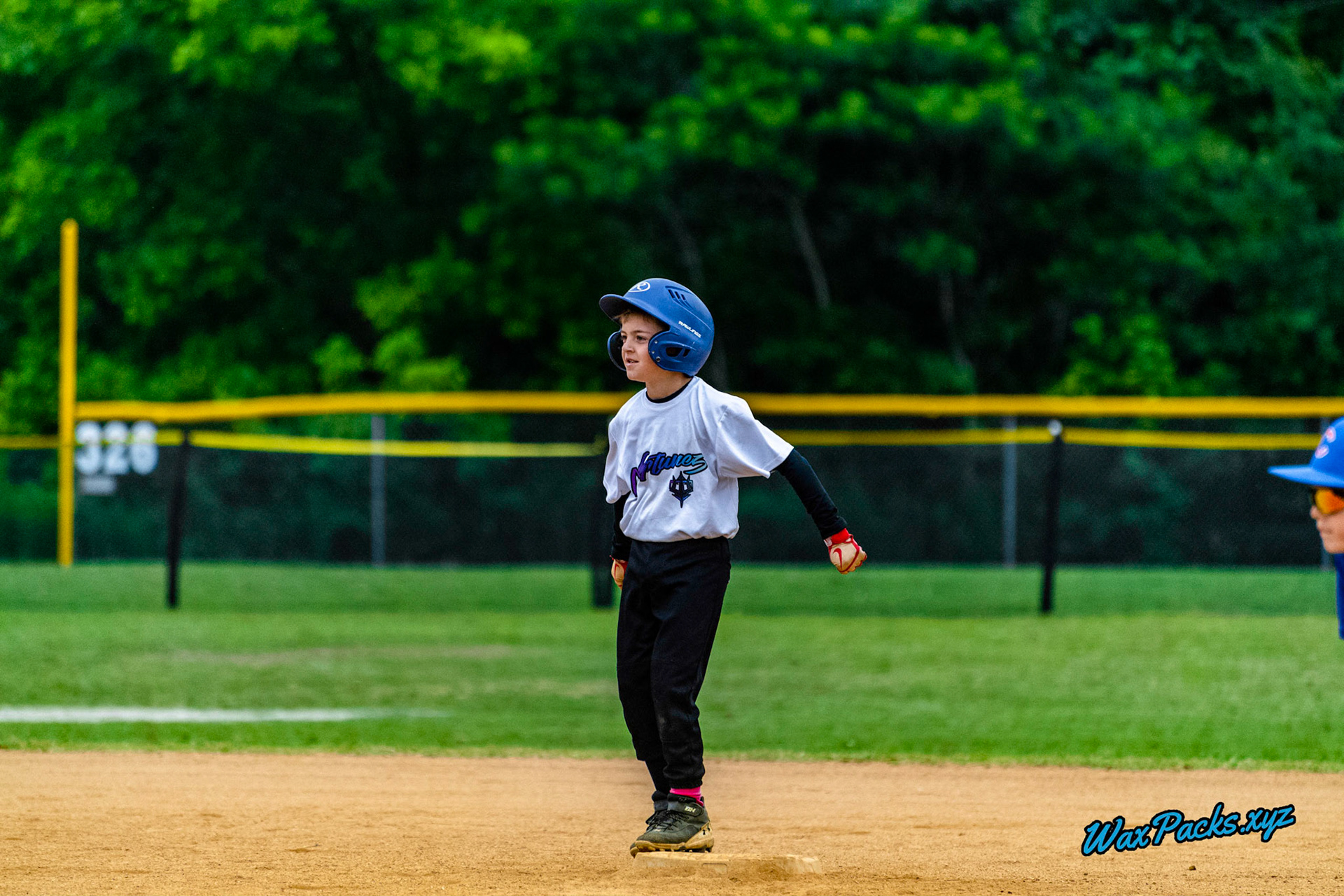 VA Neptunez vs. Cubs Baseball 05-27-2023 Game 1 of the Memorial Day Classic - Western Branch Park, Chesapeake, VA, W 10 - 2 © WaxPacks.xyz™ (Chad W.) 2023-05-27