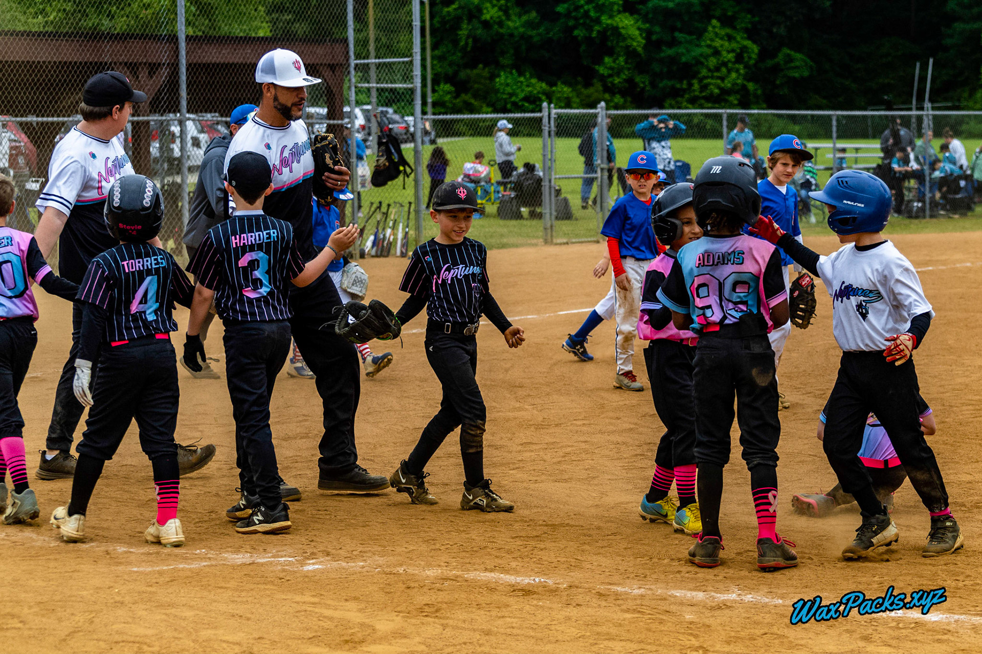VA Neptunez vs. Cubs Baseball 05-27-2023 Game 1 of the Memorial Day Classic - Western Branch Park, Chesapeake, VA, W 10 - 2 © WaxPacks.xyz™ (Chad W.) 2023-05-27