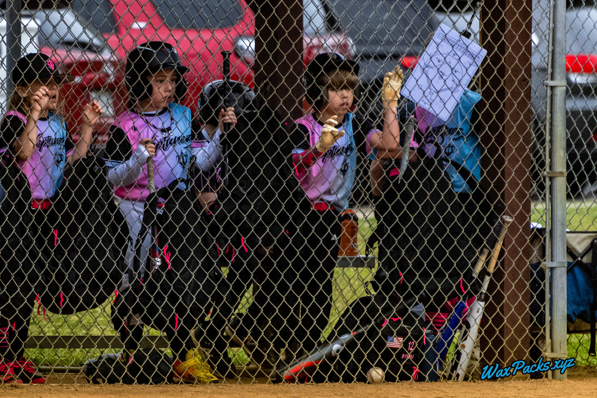 VA Neptunez vs. Cubs Baseball 05-27-2023 Game 1 of the Memorial Day Classic - Western Branch Park, Chesapeake, VA, W 10 - 2 © WaxPacks.xyz™ (Chad W.) 2023-05-27