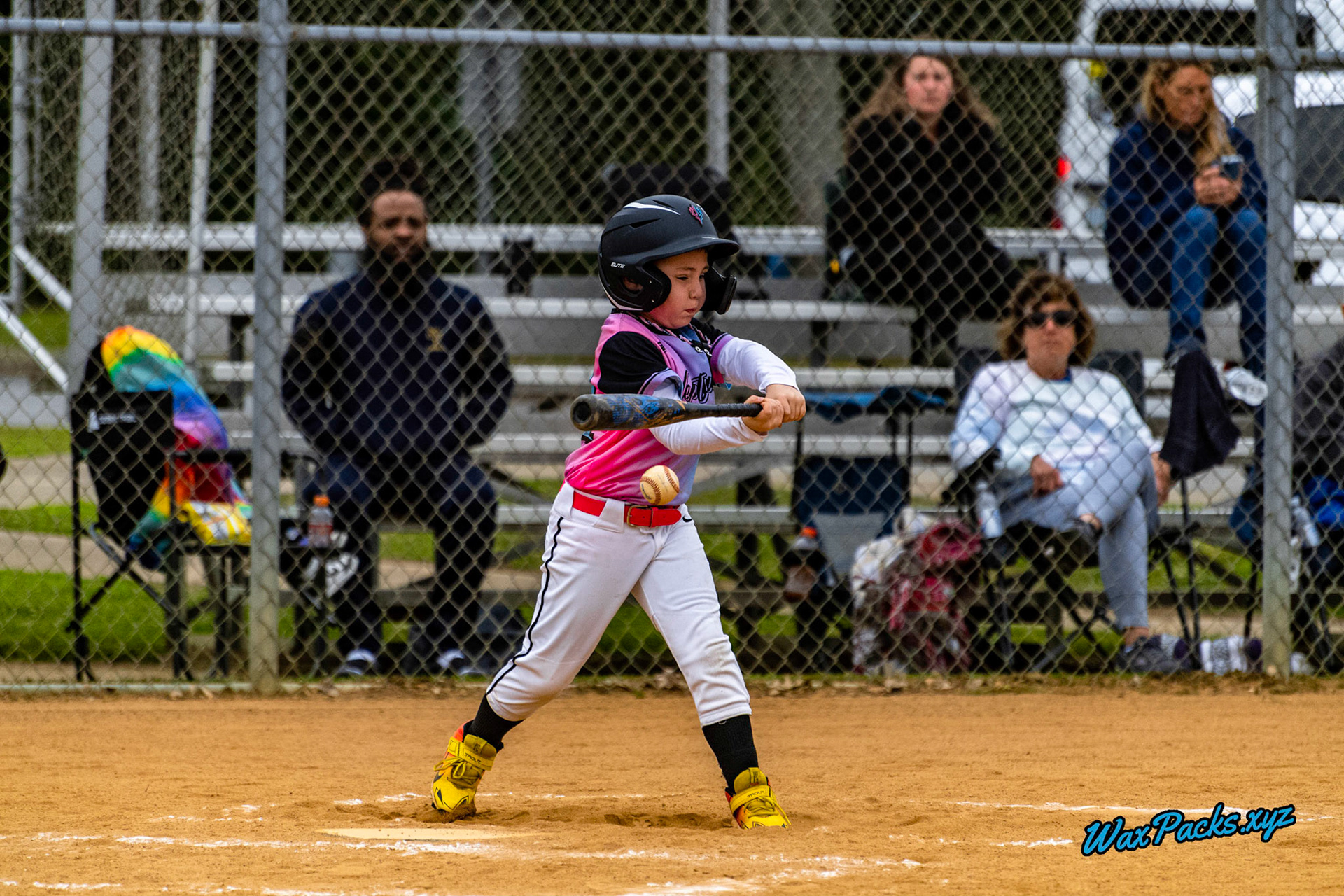 VA Neptunez vs. Cubs Baseball 05-27-2023 Game 1 of the Memorial Day Classic - Western Branch Park, Chesapeake, VA, W 10 - 2 © WaxPacks.xyz™ (Chad W.) 2023-05-27