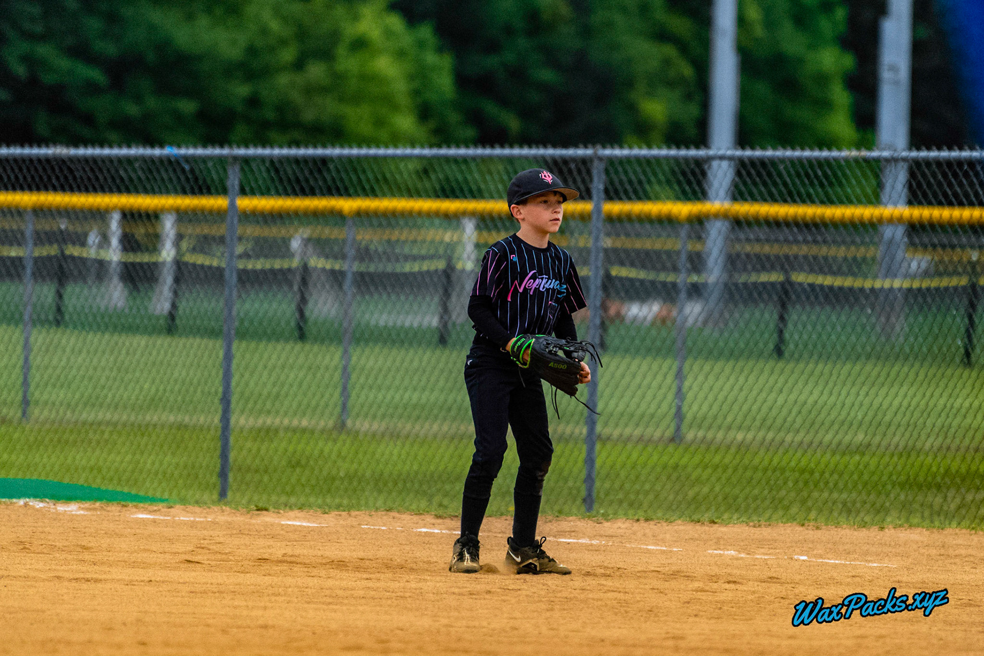 VA Neptunez vs. Cubs Baseball 05-27-2023 Game 1 of the Memorial Day Classic - Western Branch Park, Chesapeake, VA, W 10 - 2 © WaxPacks.xyz™ (Chad W.) 2023-05-27
