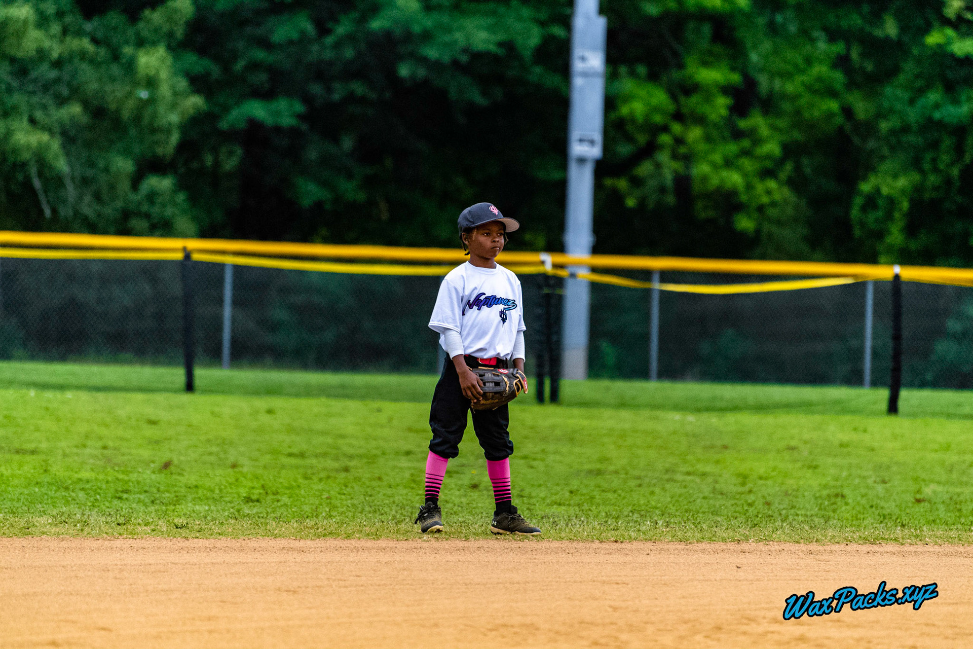 VA Neptunez vs. Cubs Baseball 05-27-2023 Game 1 of the Memorial Day Classic - Western Branch Park, Chesapeake, VA, W 10 - 2 © WaxPacks.xyz™ (Chad W.) 2023-05-27