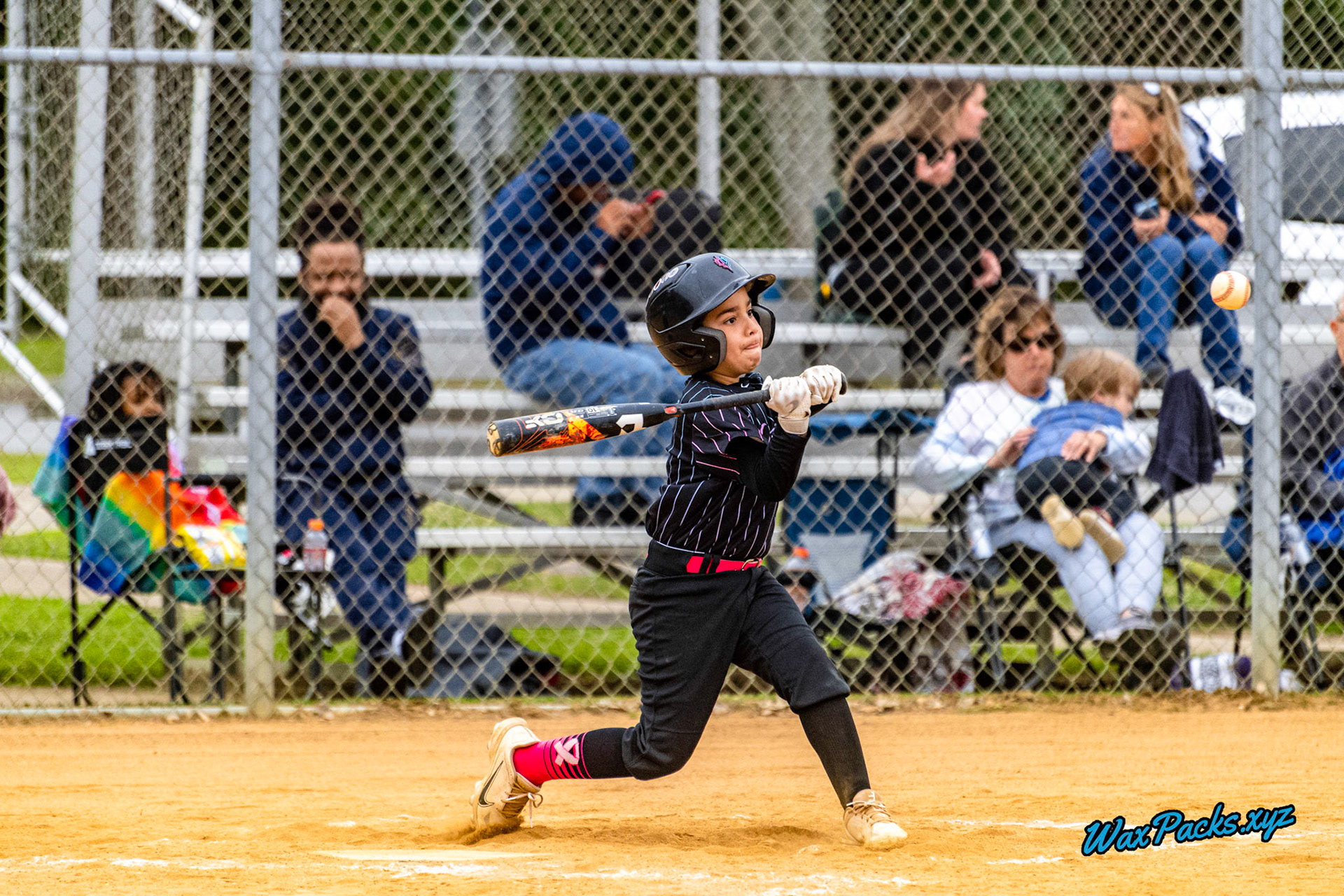VA Neptunez vs. Cubs Baseball 05-27-2023 Game 1 of the Memorial Day Classic - Western Branch Park, Chesapeake, VA, W 10 - 2 © WaxPacks.xyz™ (Chad W.) 2023-05-27