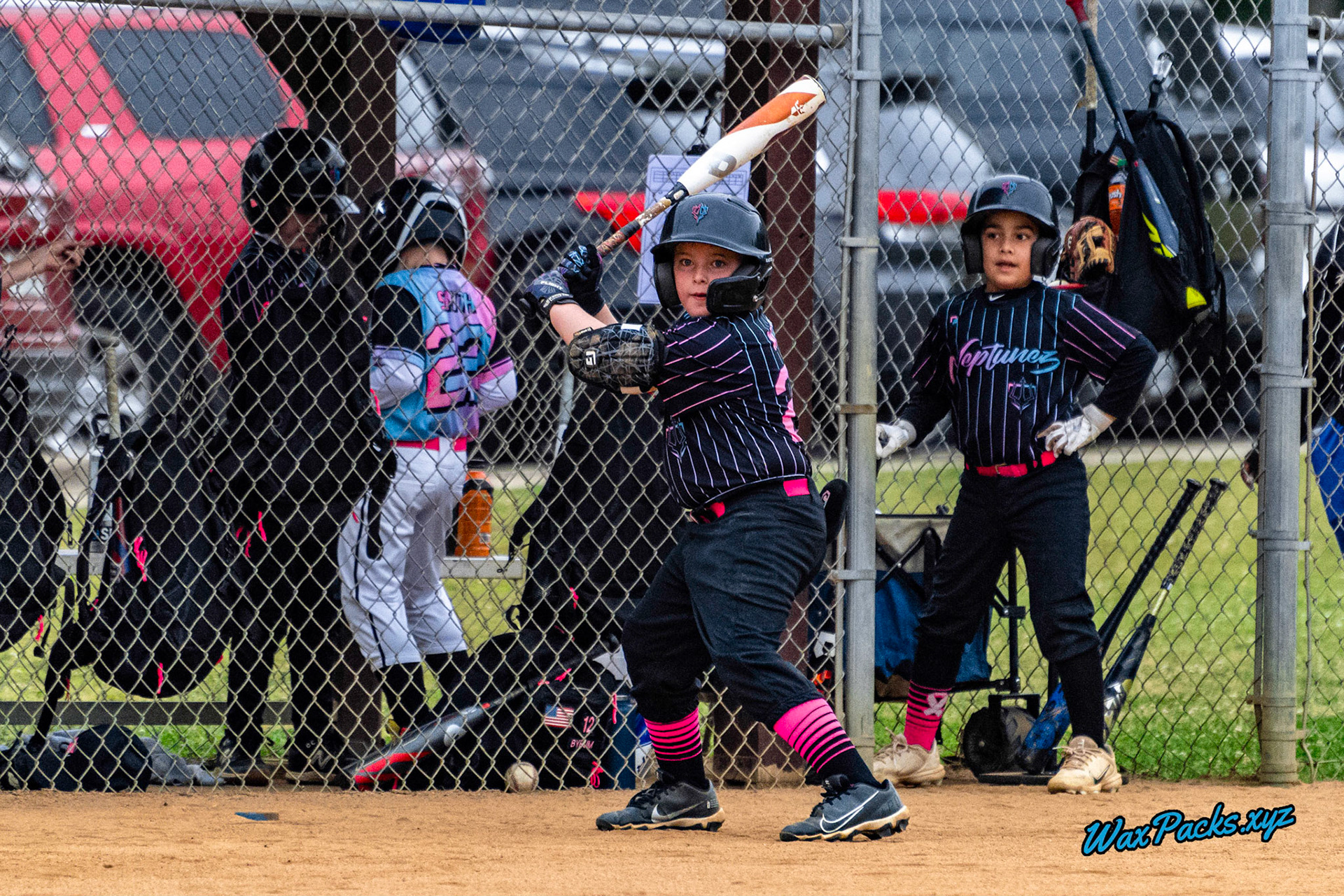 VA Neptunez vs. Cubs Baseball 05-27-2023 Game 1 of the Memorial Day Classic - Western Branch Park, Chesapeake, VA, W 10 - 2 © WaxPacks.xyz™ (Chad W.) 2023-05-27