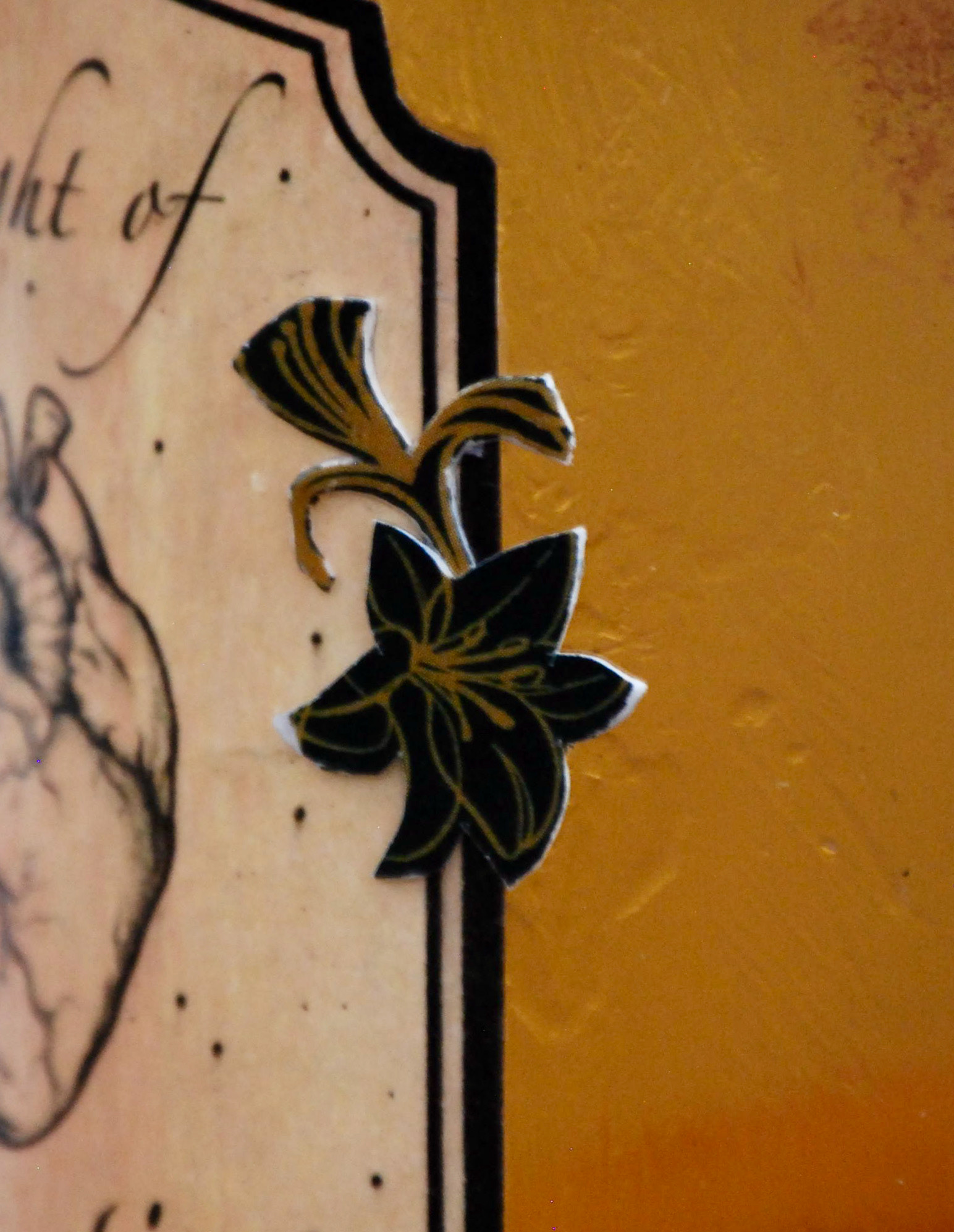 Floral Designs from RSVP