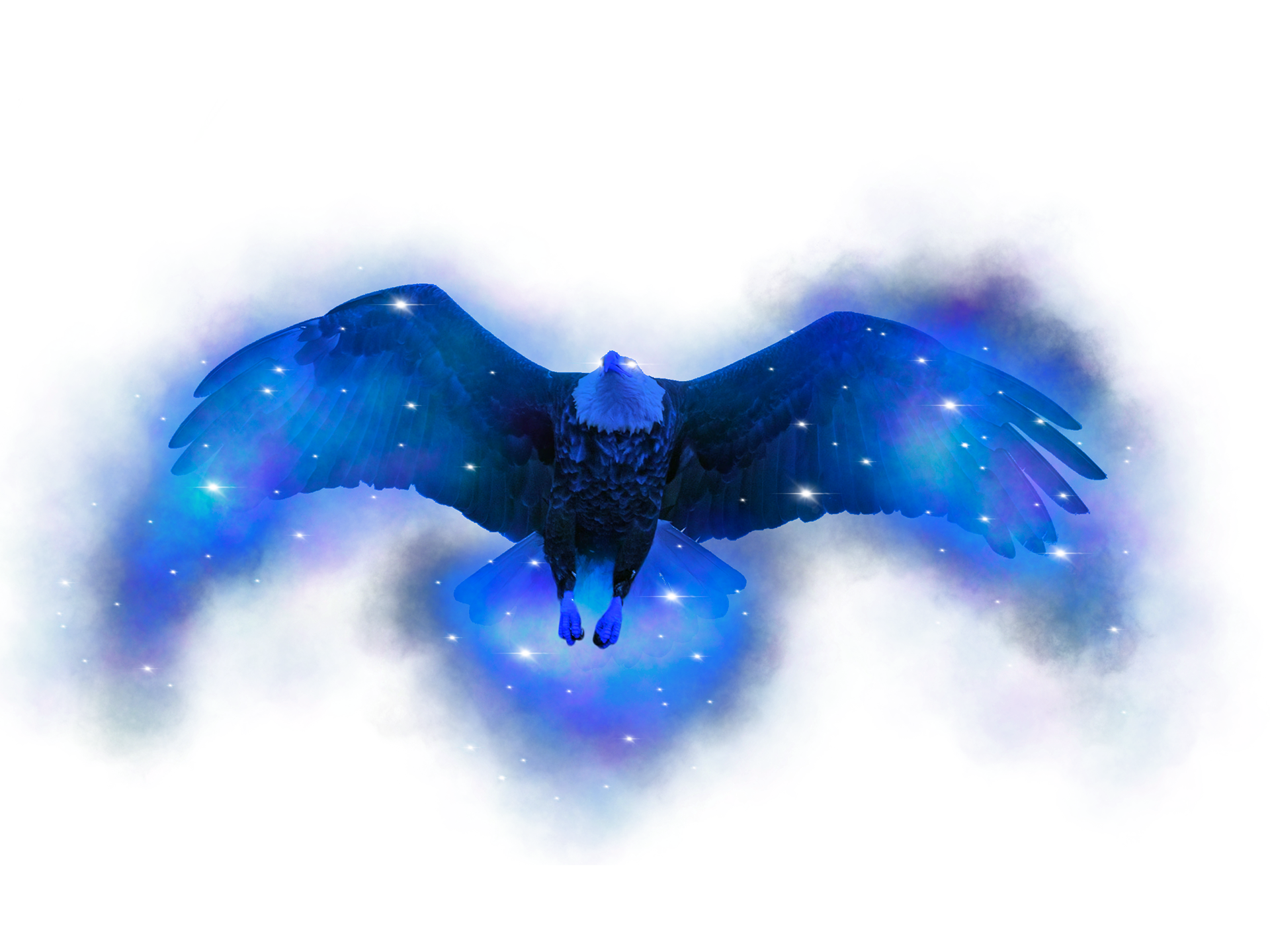 Eagle Spirit