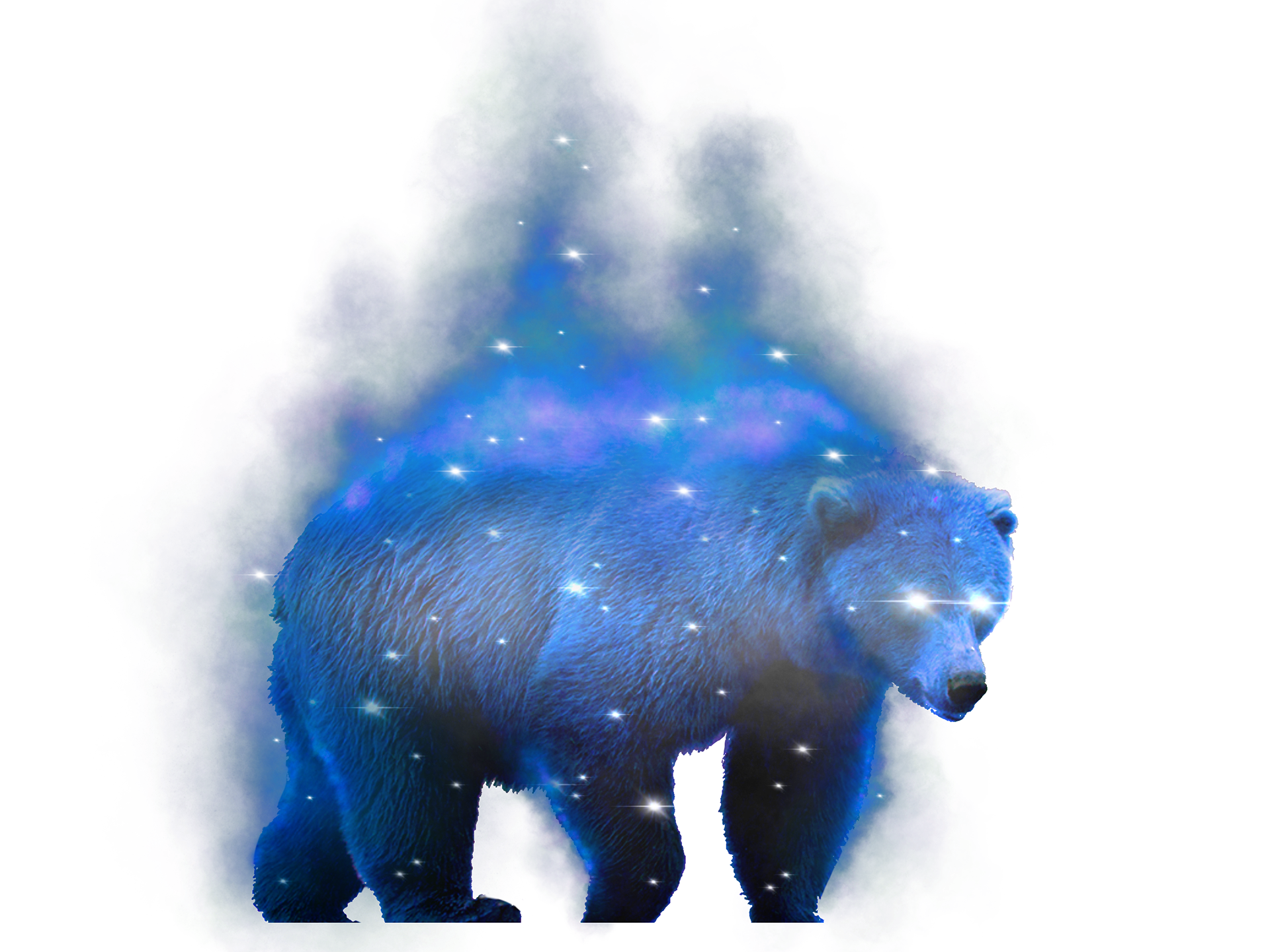 Bear Spirit