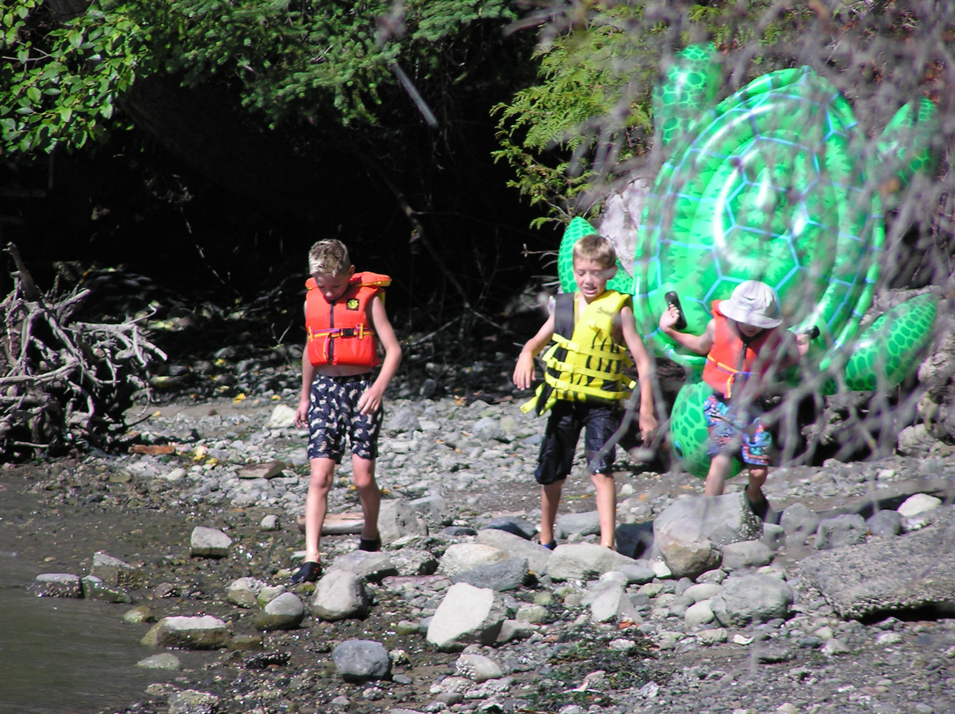 OLYMPUS DIGITAL CAMERA