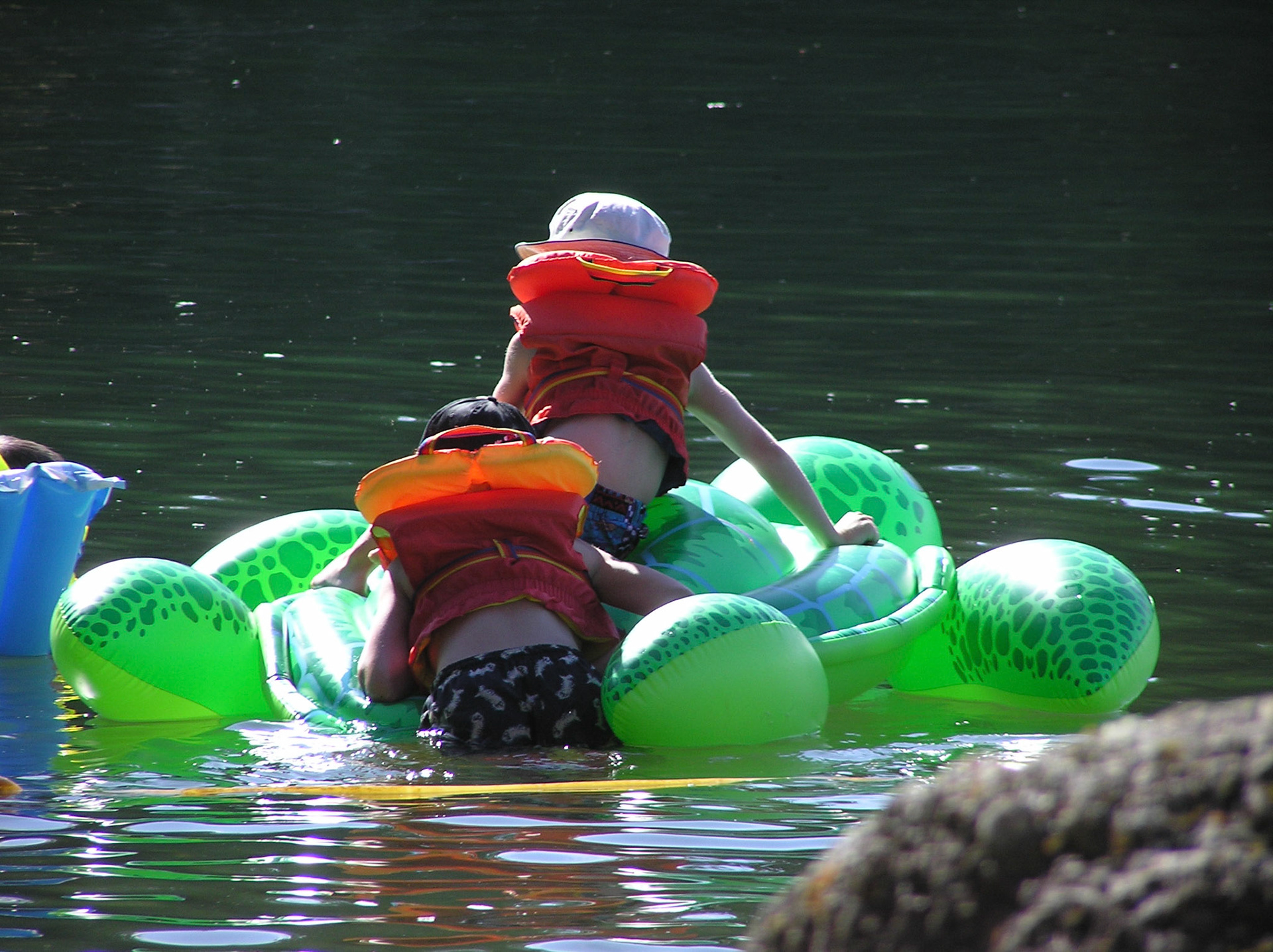 OLYMPUS DIGITAL CAMERA