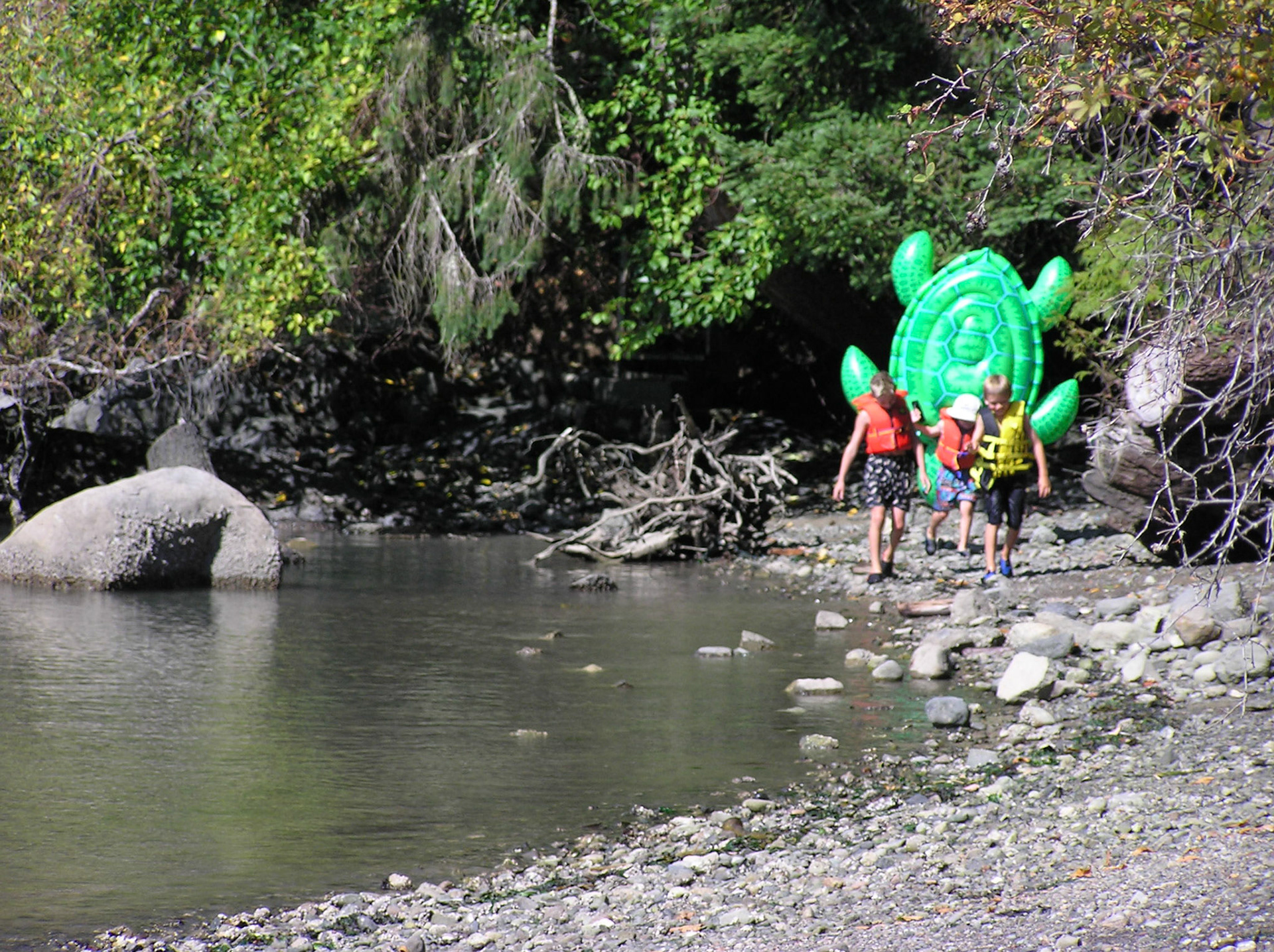 OLYMPUS DIGITAL CAMERA