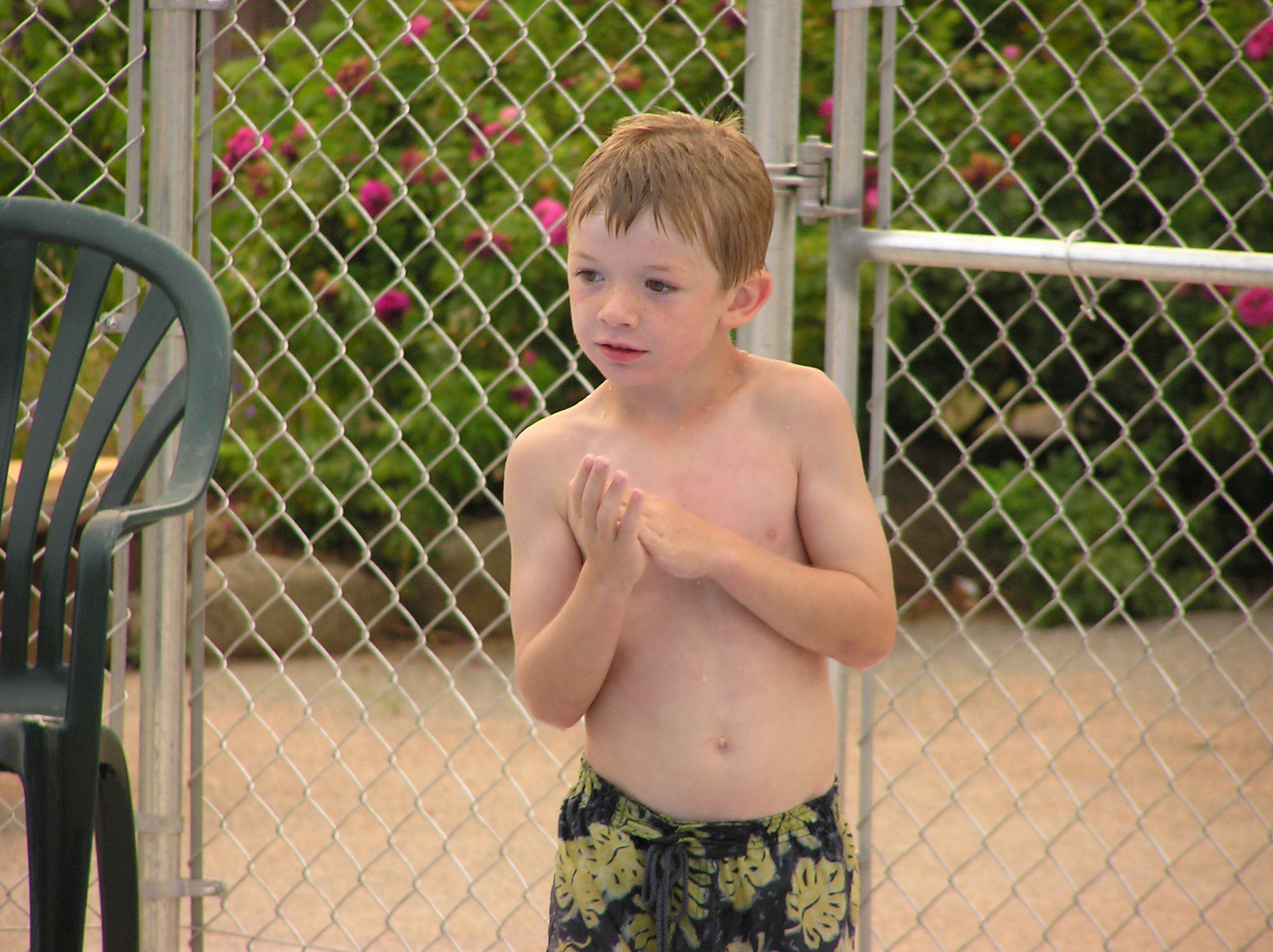 OLYMPUS DIGITAL CAMERA