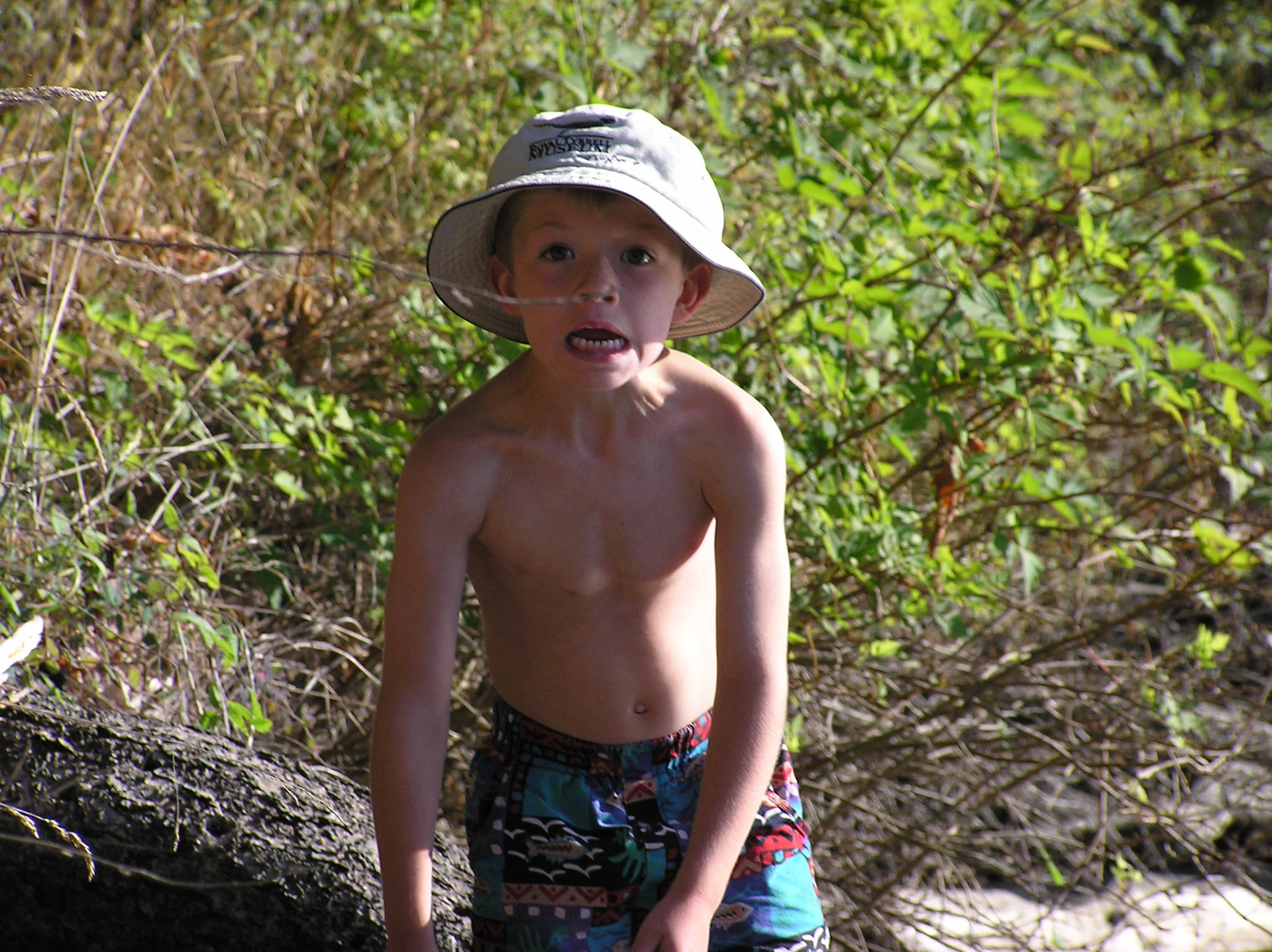 OLYMPUS DIGITAL CAMERA