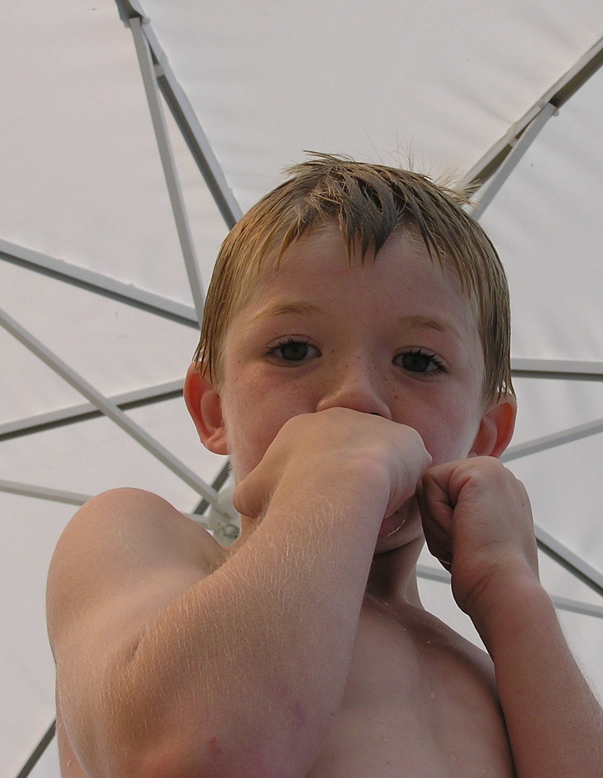 OLYMPUS DIGITAL CAMERA