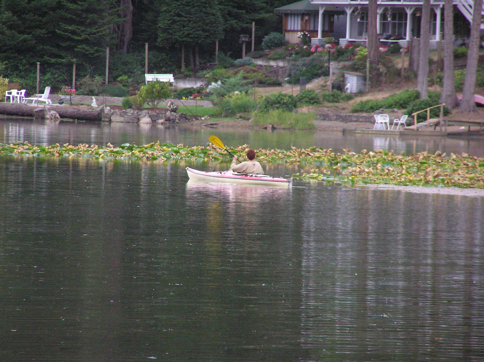 OLYMPUS DIGITAL CAMERA