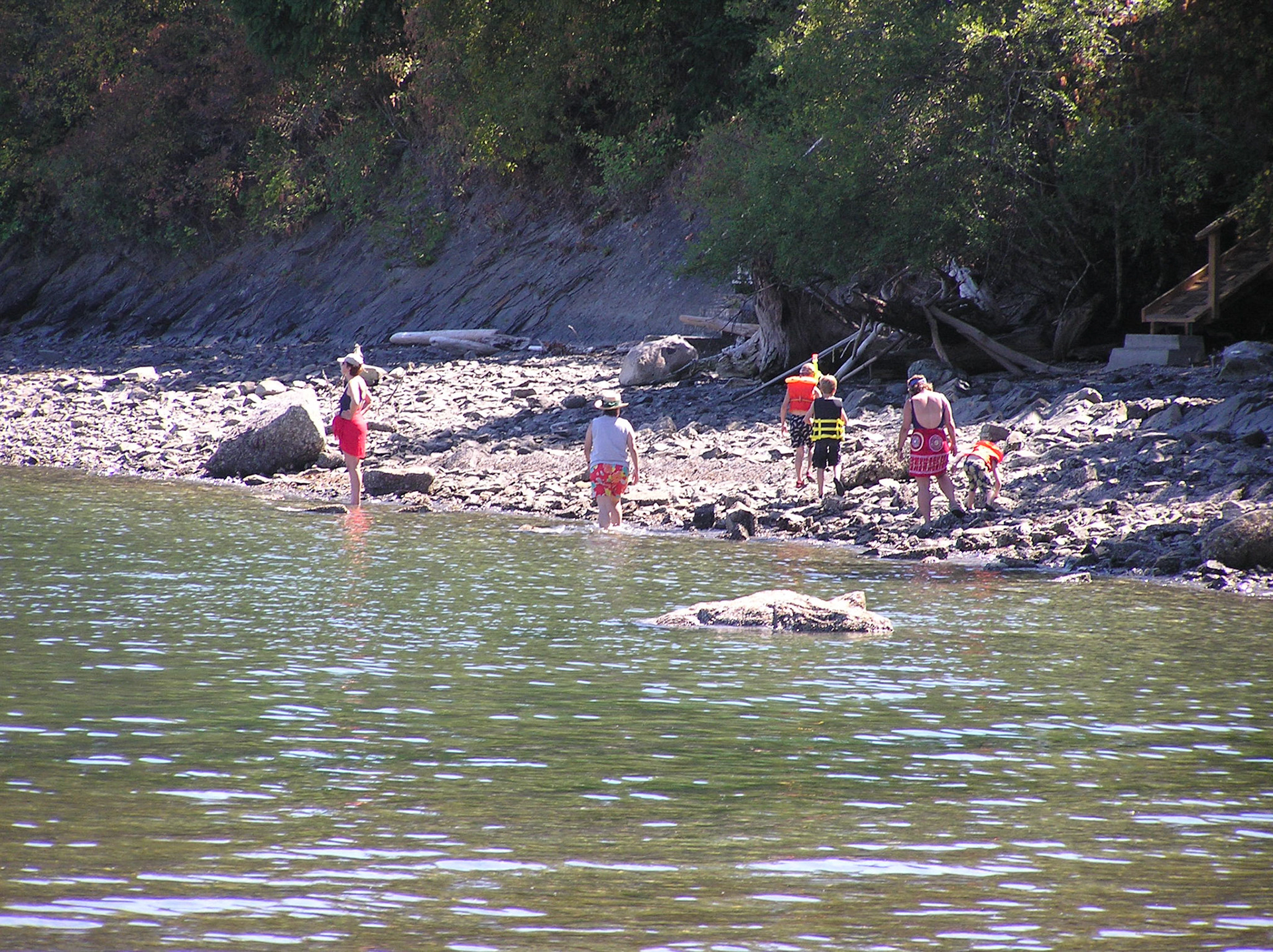 OLYMPUS DIGITAL CAMERA