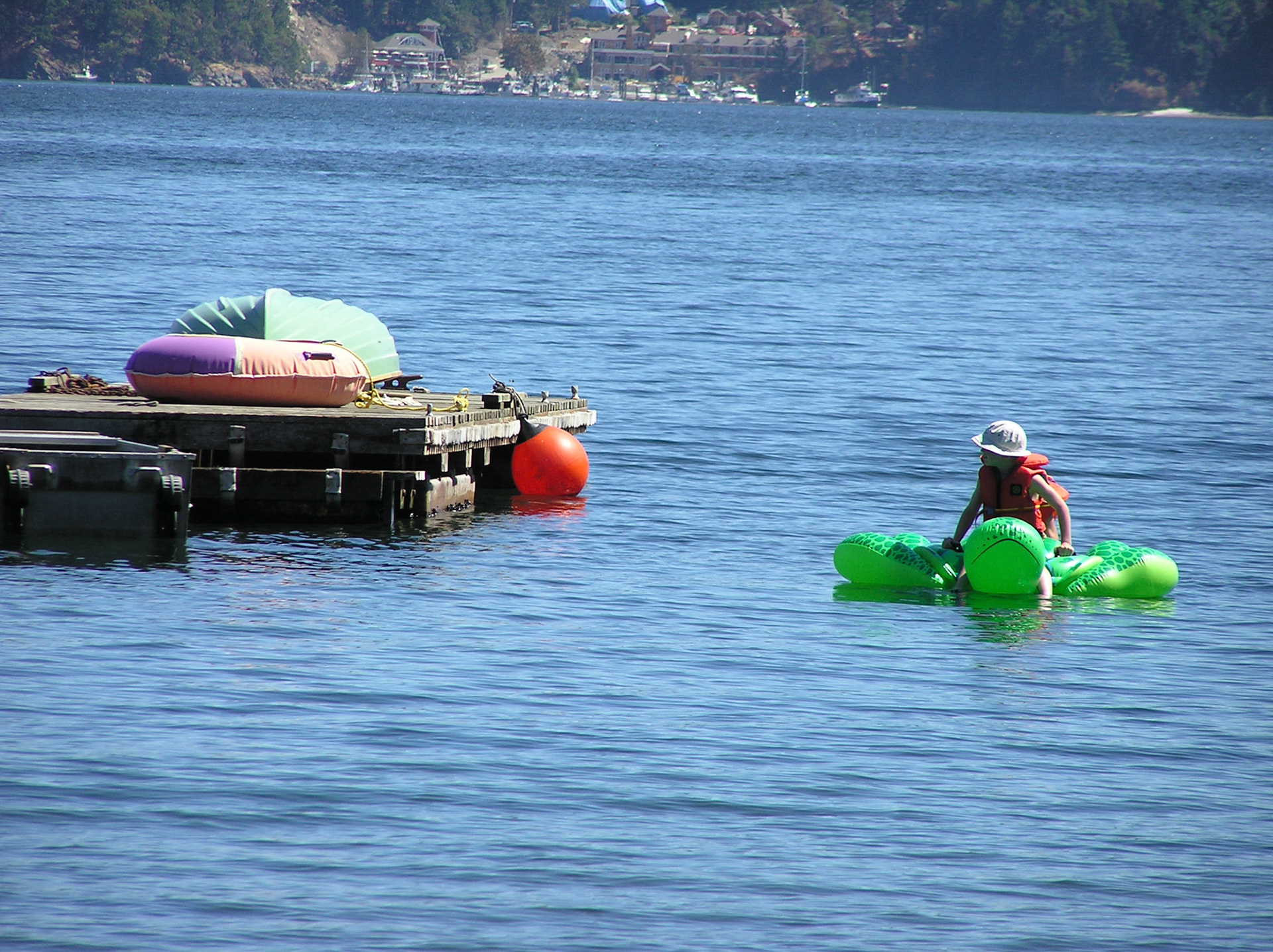 OLYMPUS DIGITAL CAMERA