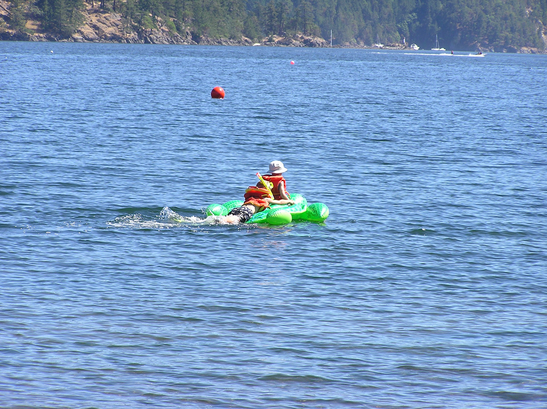 OLYMPUS DIGITAL CAMERA