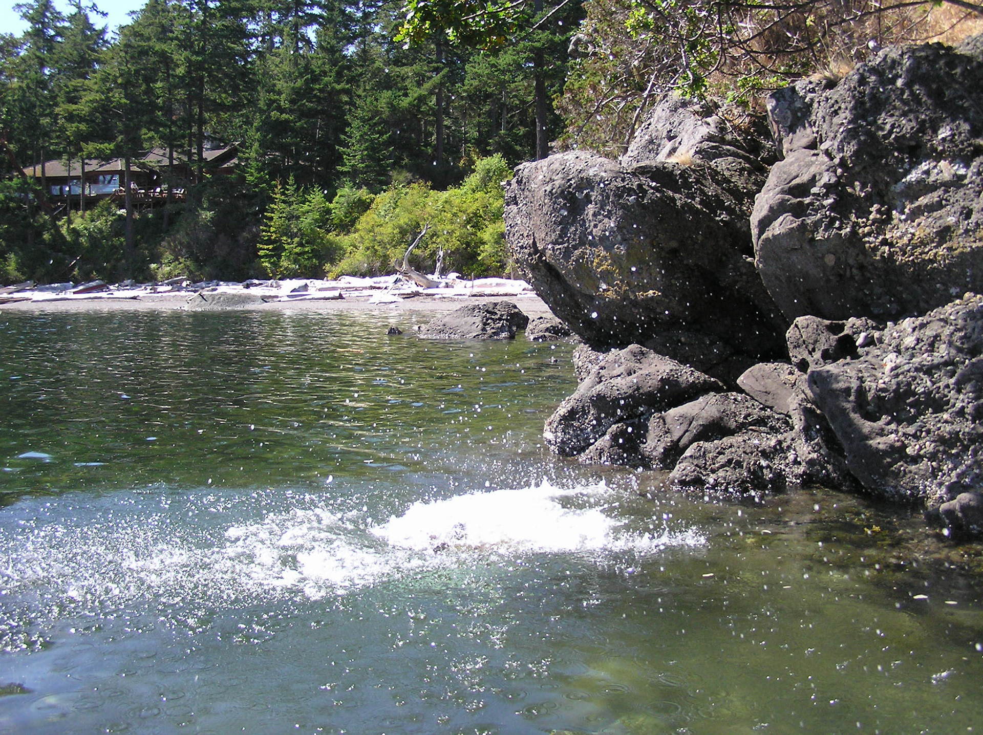 OLYMPUS DIGITAL CAMERA